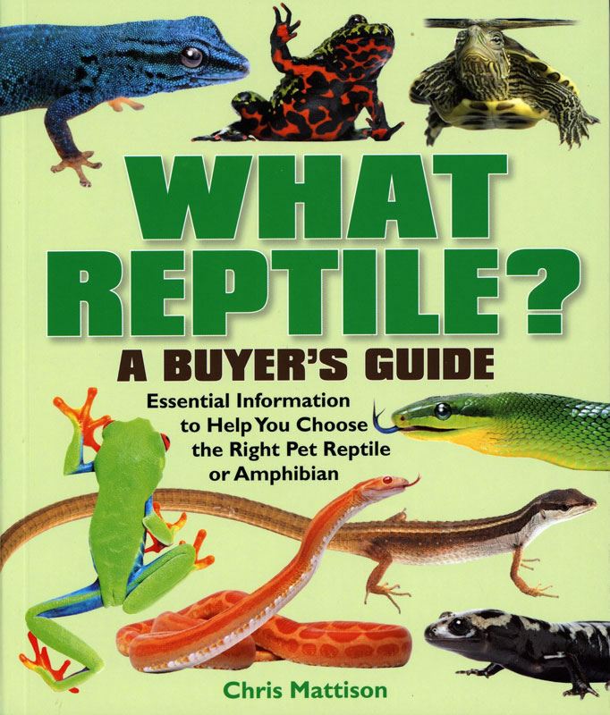 What Reptile Book Complete Guide For Beginners Food Breed Health Care