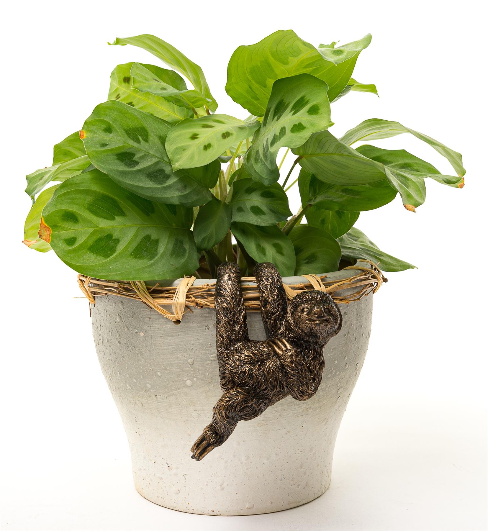 Pot Buddies Handmade Animals Figure Plant Pot Hanger - Decorative Ornament - Picture 182 of 210