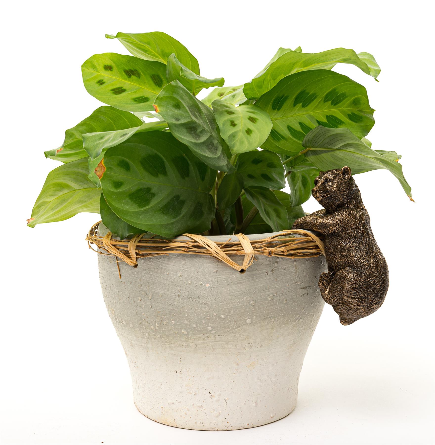 Pot Buddies Handmade Animals Figure Plant Pot Hanger - Decorative Ornament - Picture 27 of 210