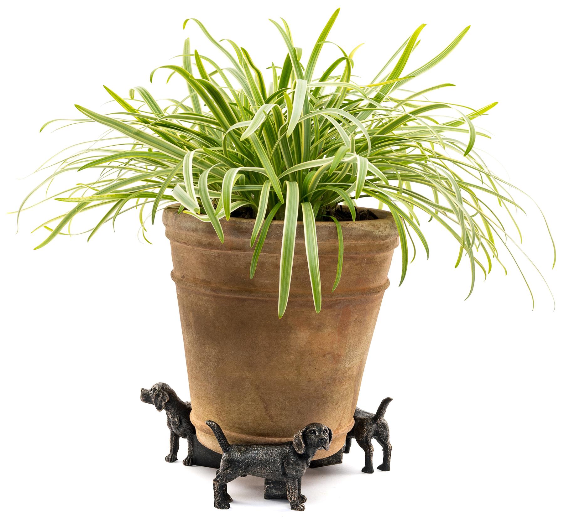 monument grills reviews