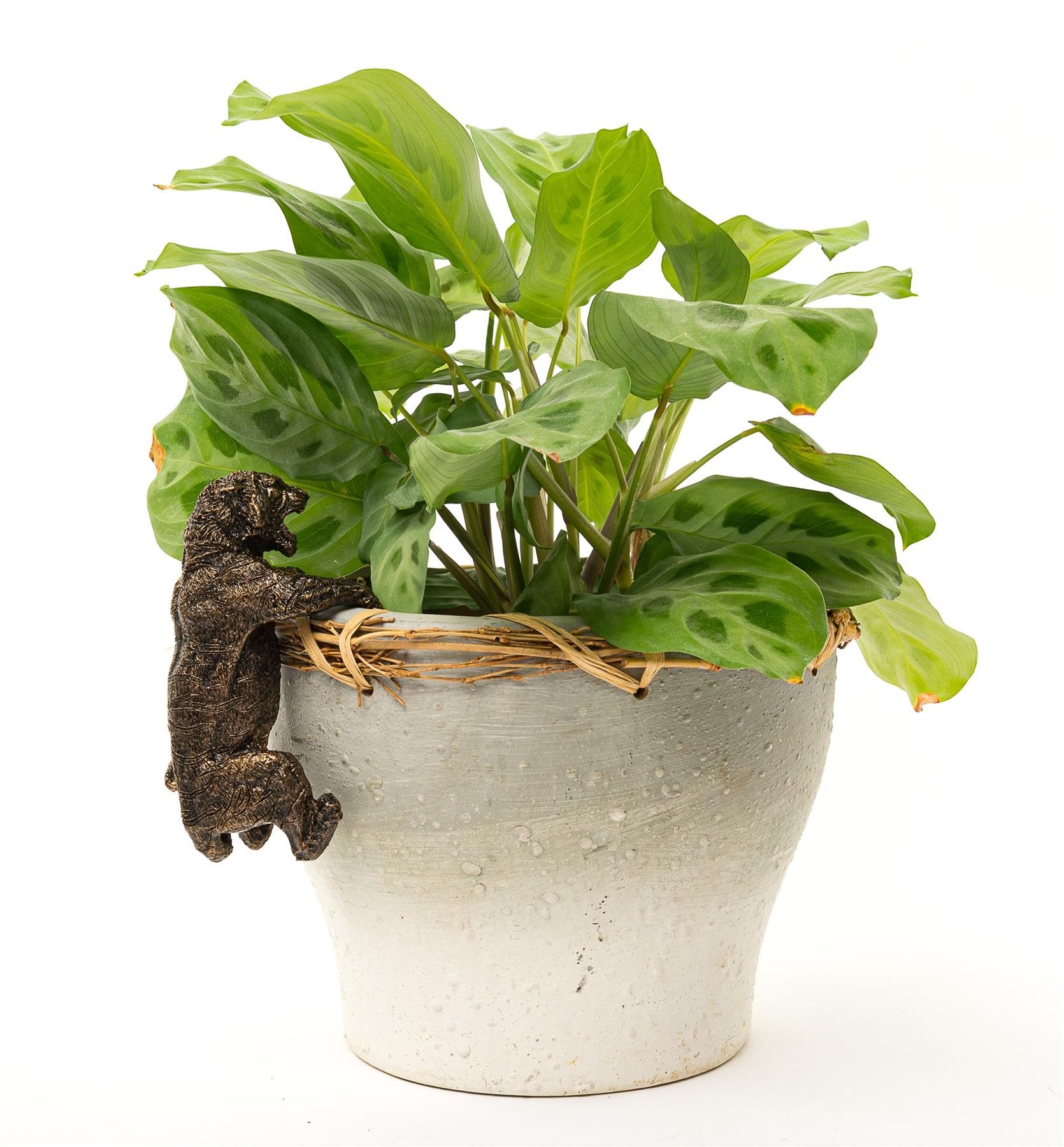 Pot Buddies Handmade Animals Figure Plant Pot Hanger - Decorative Ornament - Picture 202 of 210