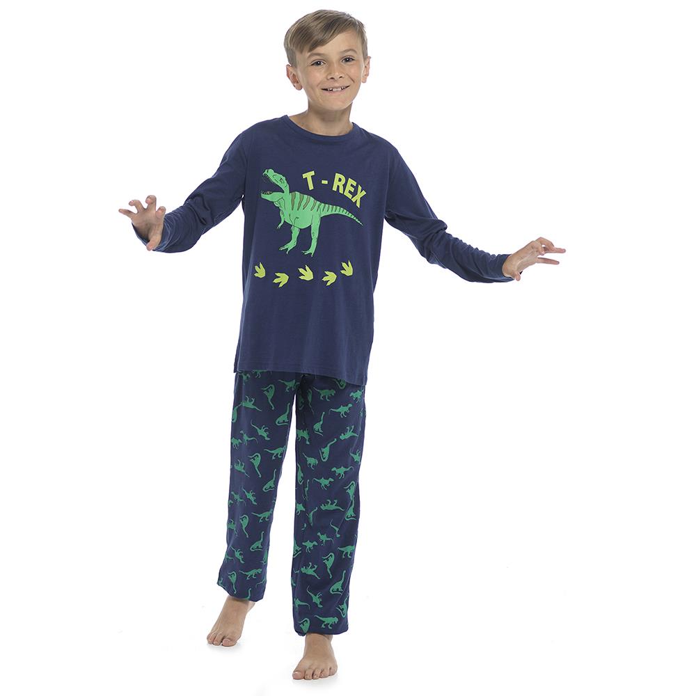 Kids Boys T Rex Pyjamas Children 2 Piece Comfortable Loungewear PJS Set 3-12 Yr - Picture 3 of 3