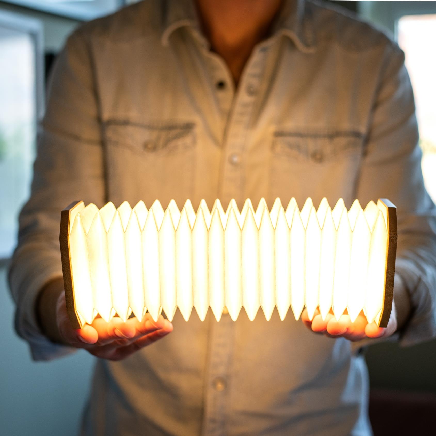 Accordion LED Light Desk Lamp Rechargeable Via USB Gingko Natural Wood / Velvet - Picture 56 of 57