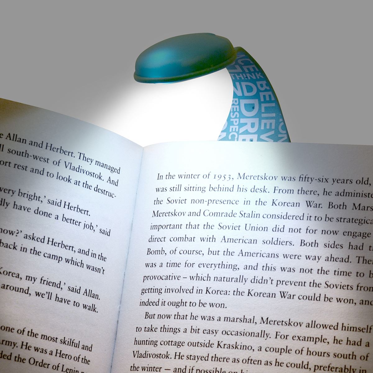 book light bookmark