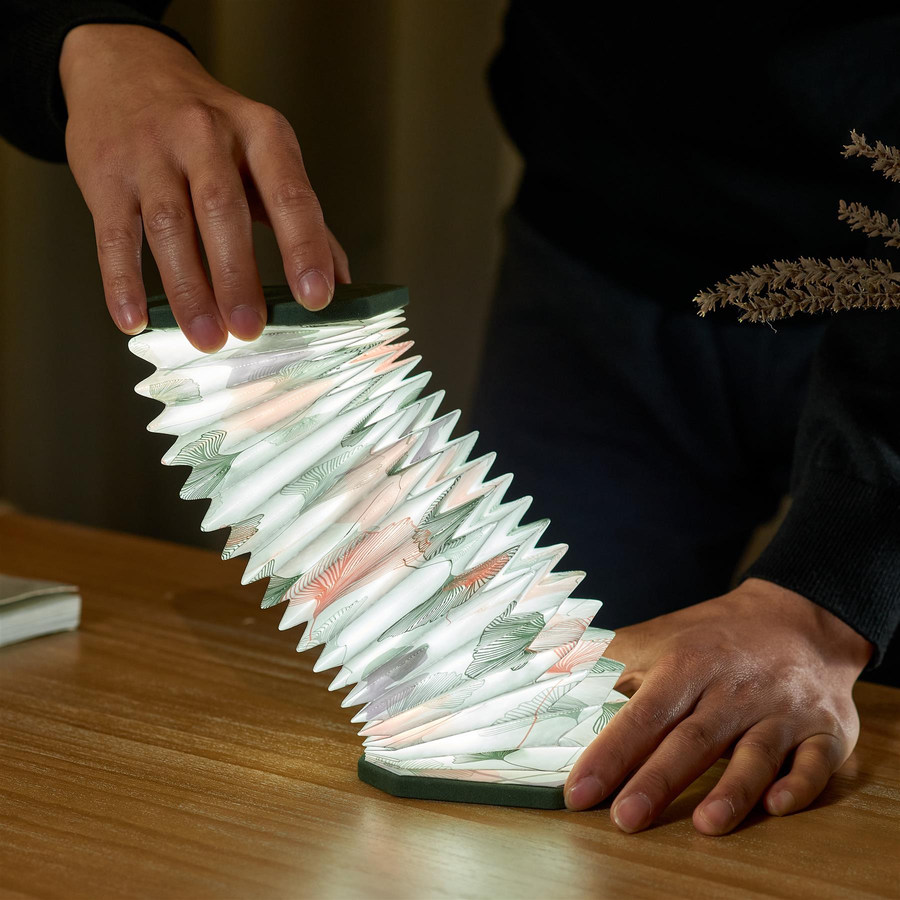 Accordion LED Light Desk Lamp Rechargeable Via USB Gingko Natural Wood / Velvet - Picture 28 of 57