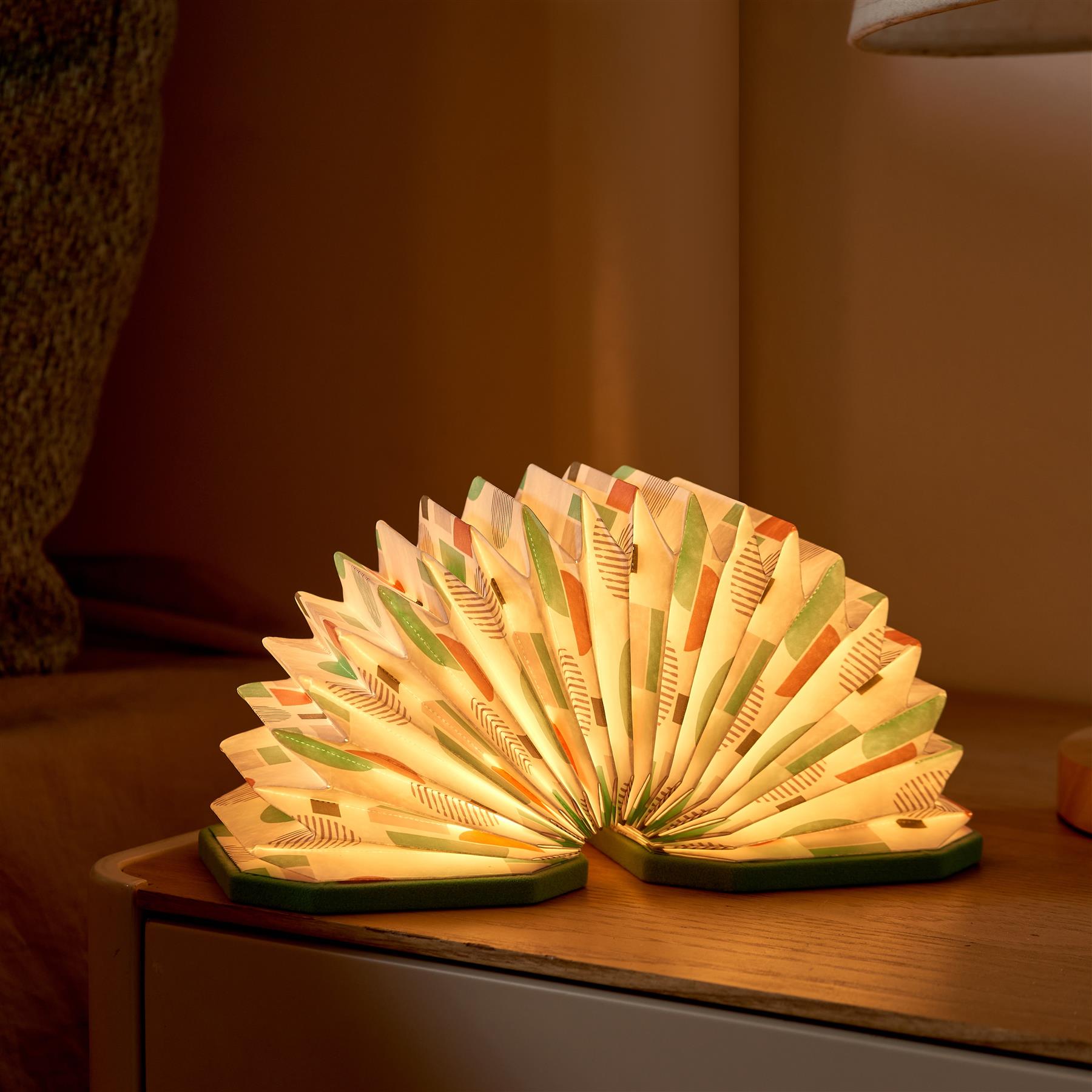 Accordion LED Light Desk Lamp Rechargeable Via USB Gingko Natural Wood / Velvet - Picture 30 of 57
