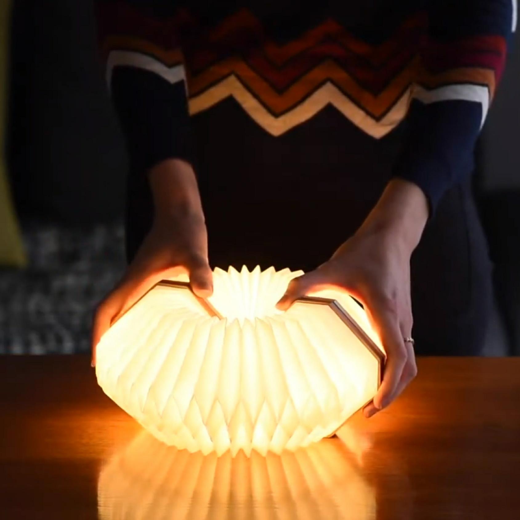Accordion LED Light Desk Lamp Rechargeable Via USB Gingko Natural Wood / Velvet - Picture 20 of 57