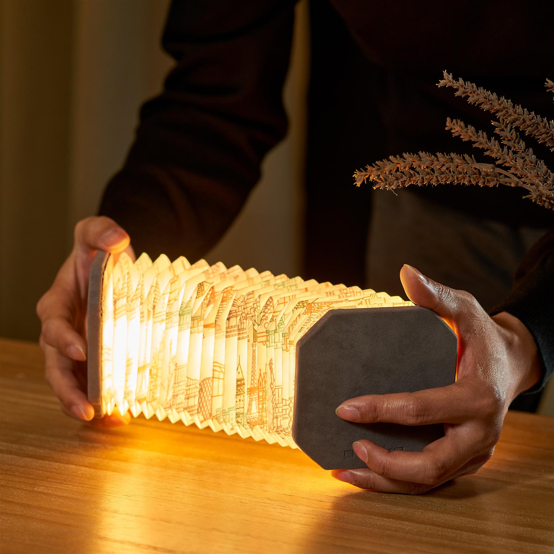 Accordion LED Light Desk Lamp Rechargeable Via USB Gingko Natural Wood / Velvet - Picture 45 of 57