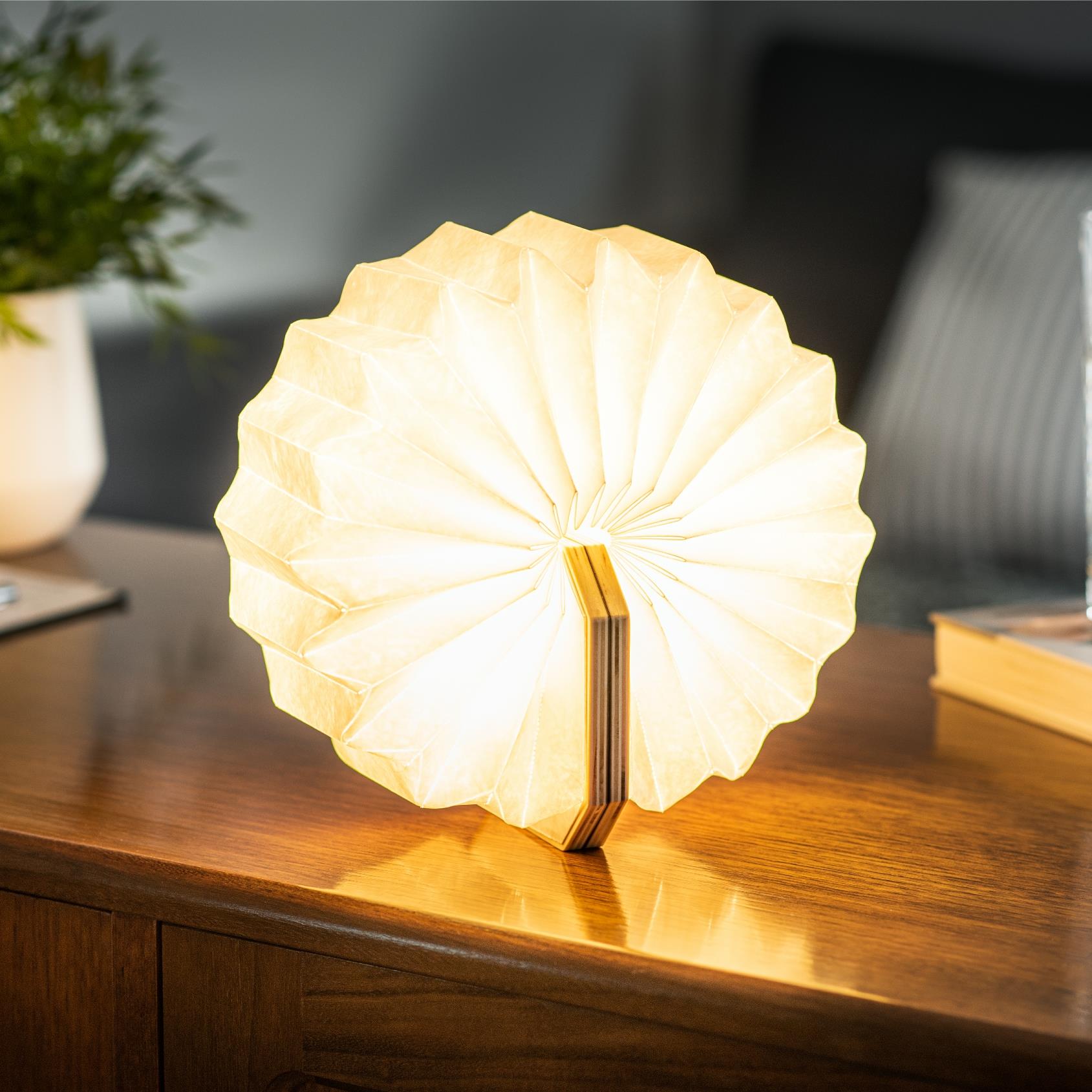 Accordion LED Light Desk Lamp Rechargeable Via USB Gingko Natural Wood / Velvet - Picture 15 of 57