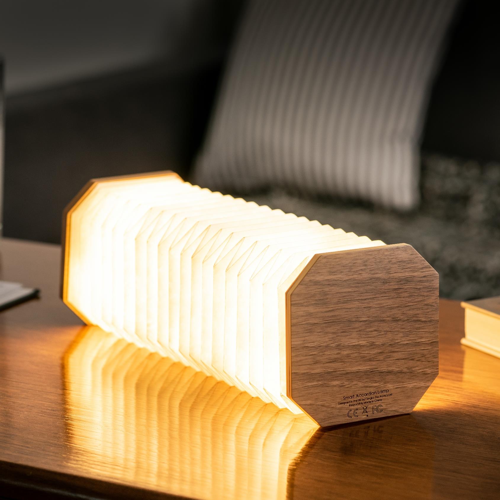 Accordion LED Light Desk Lamp Rechargeable Via USB Gingko Natural Wood / Velvet - Picture 55 of 57