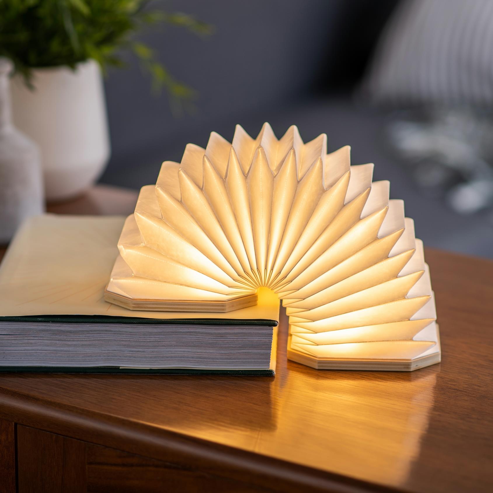 Accordion LED Light Desk Lamp Rechargeable Via USB Gingko Natural Wood / Velvet - Picture 54 of 57