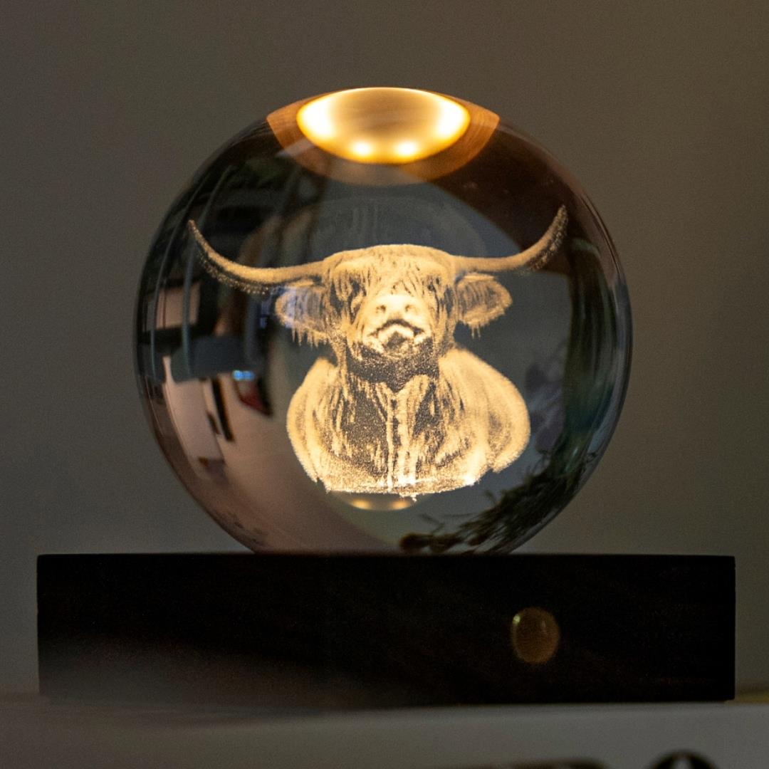 Crystal LED Desk Lamp Weighted Amber Ball Wooden Base Ginkgo Assorted Design - Picture 28 of 79