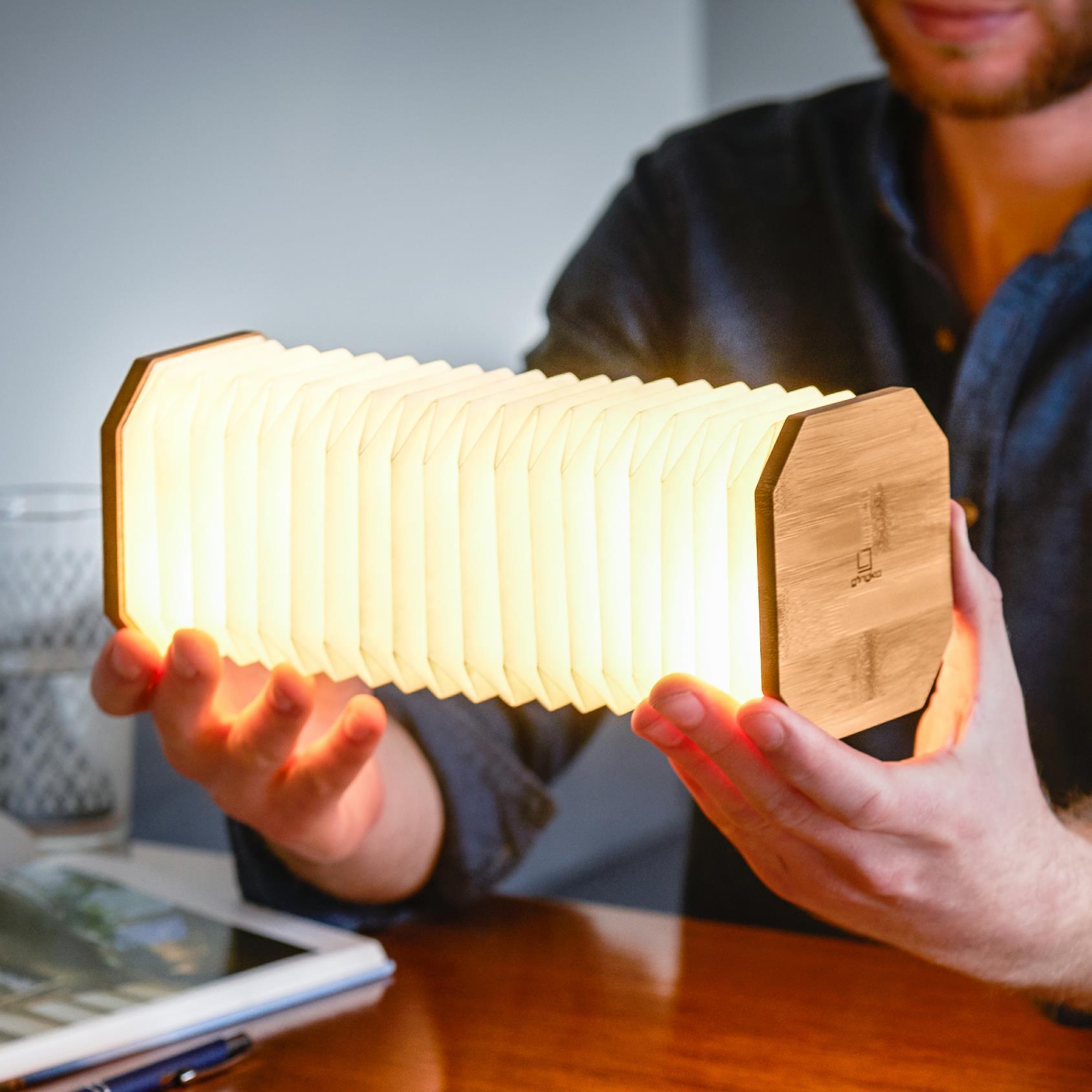 Accordion LED Light Desk Lamp Rechargeable Via USB Gingko Natural Wood / Velvet - Picture 19 of 57