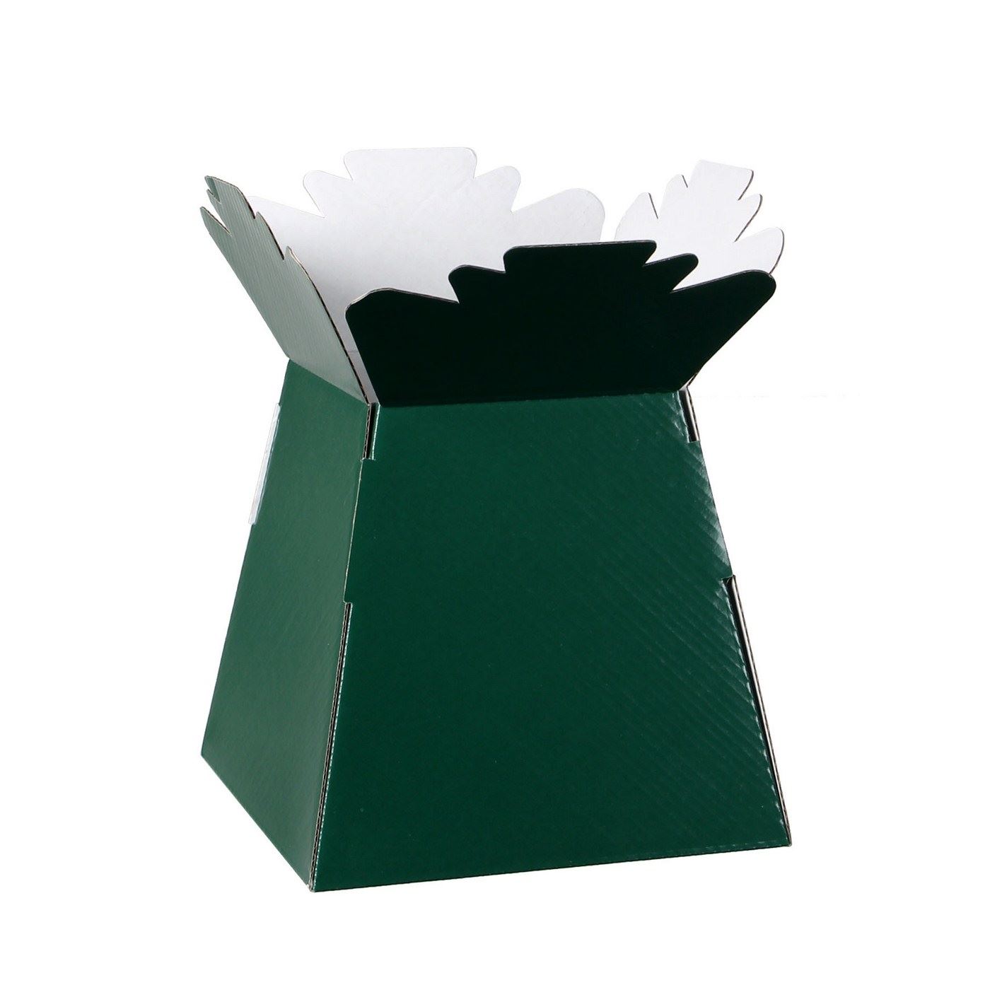 Bouquet Flower Glossy Boxes Living Vases Florist Box Aqua Vase Sweets Gift eBay