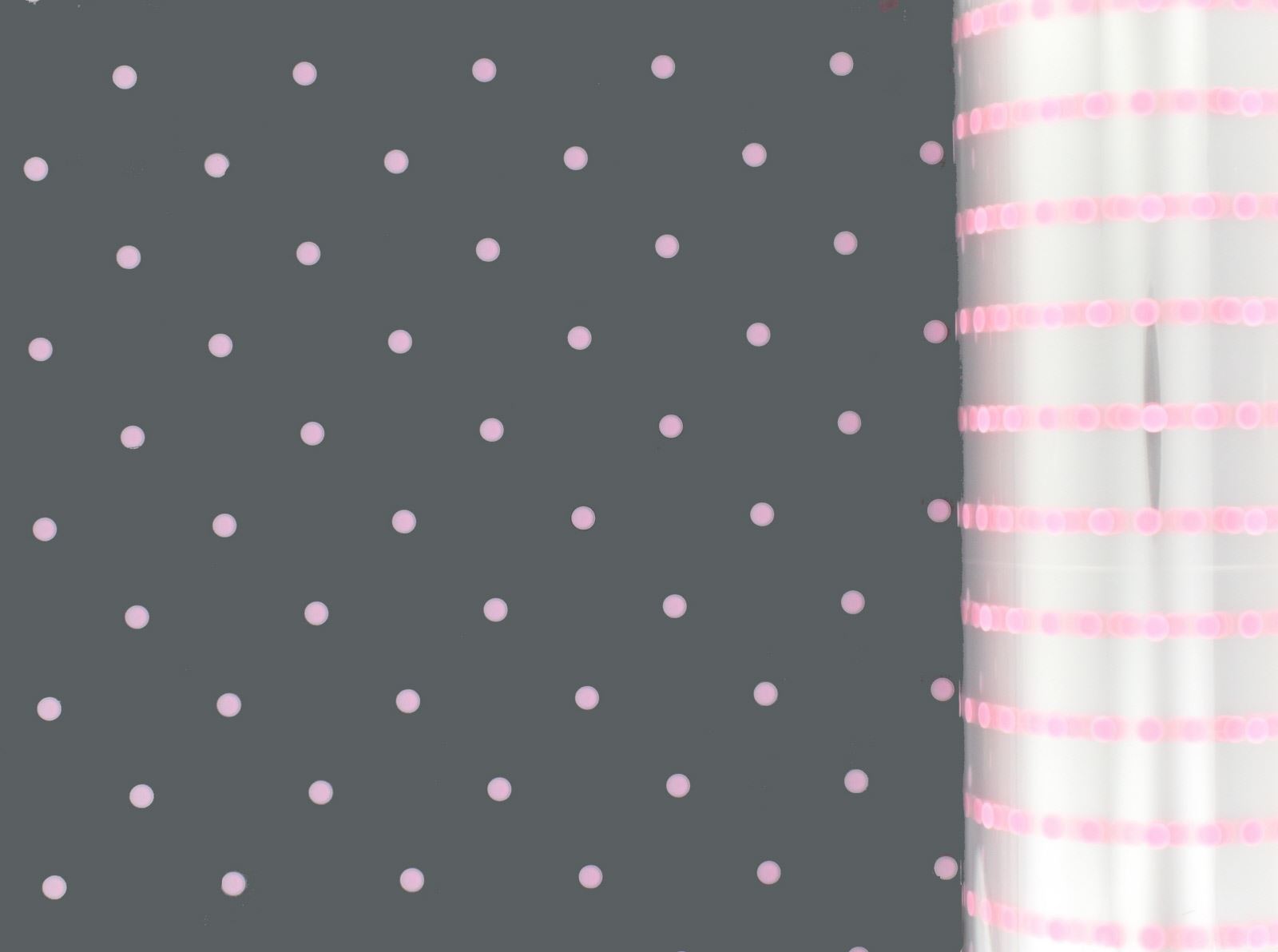 5m, 10m, 20m, 50m, 100m White Dot Florist Film Cellophane Gift Wrapping - Picture 3 of 7