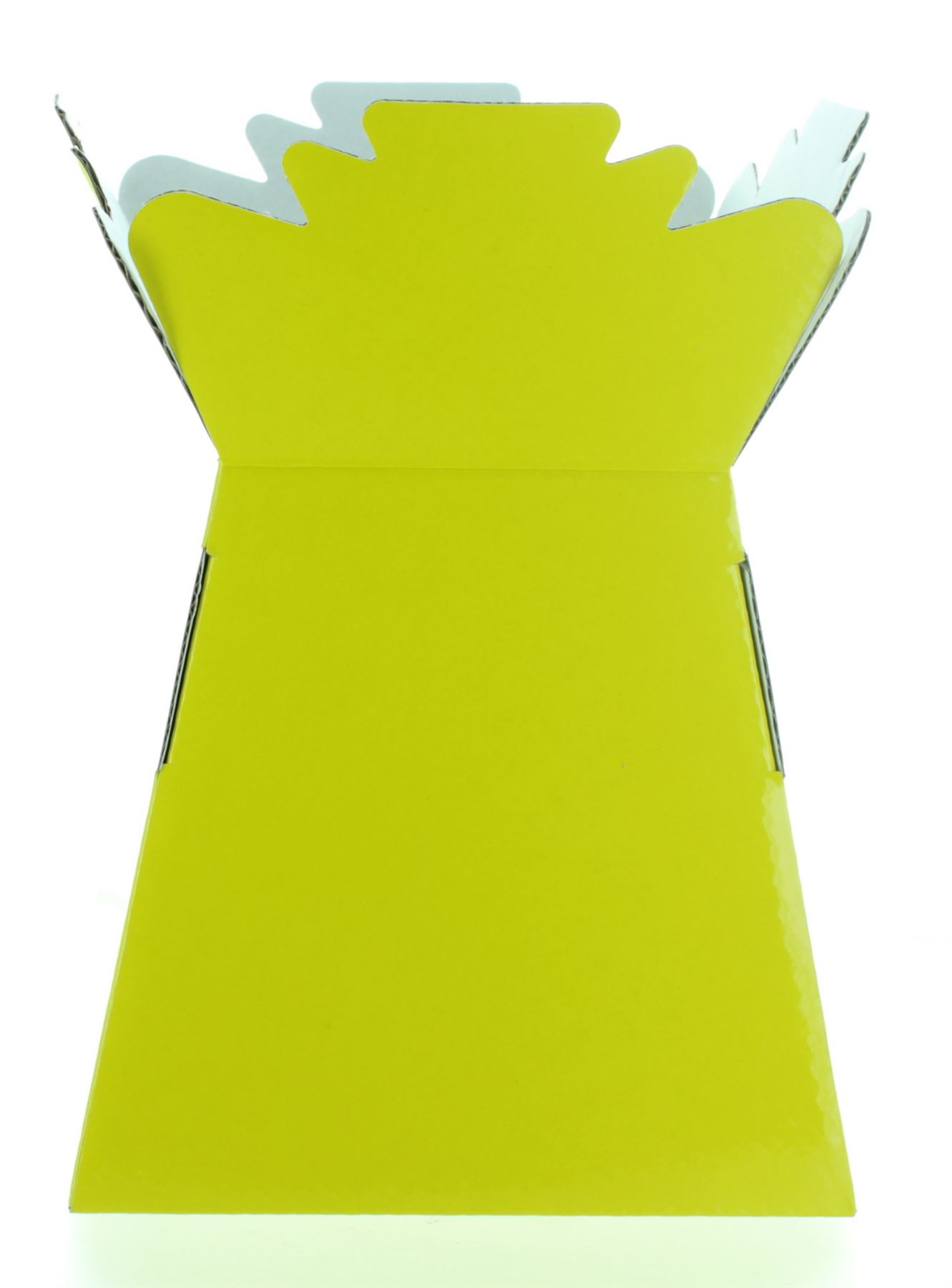 Bouquet Flower Glossy Boxes Living Vases Florist Box Aqua Vase Sweets