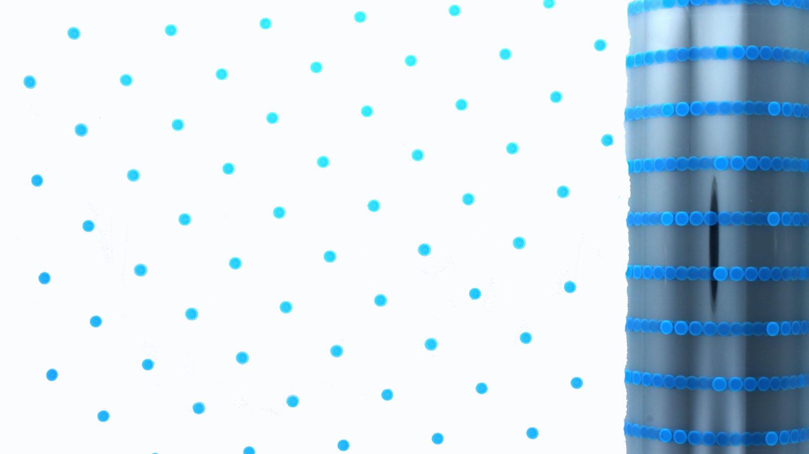 5m, 10m, 20m, 50m, 100m White Dot Florist Film Cellophane Gift Wrapping - Picture 2 of 7