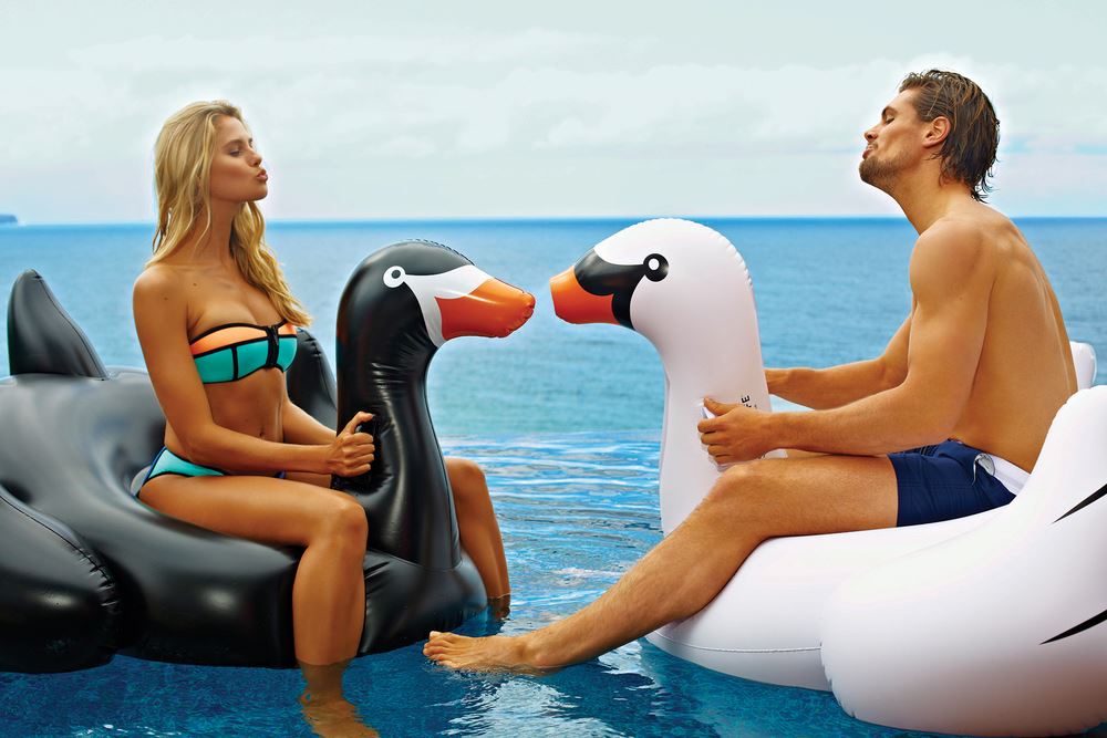blow up swan for pool