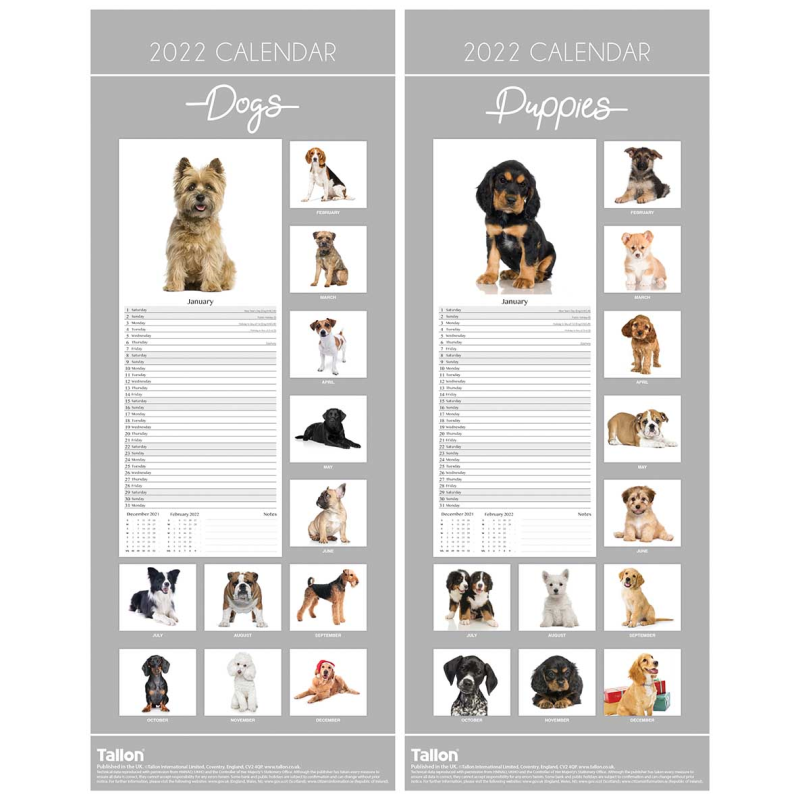 2022 Super Slim Wall Month To View Calendar Dogs Or Puppies Calendars | Ebay