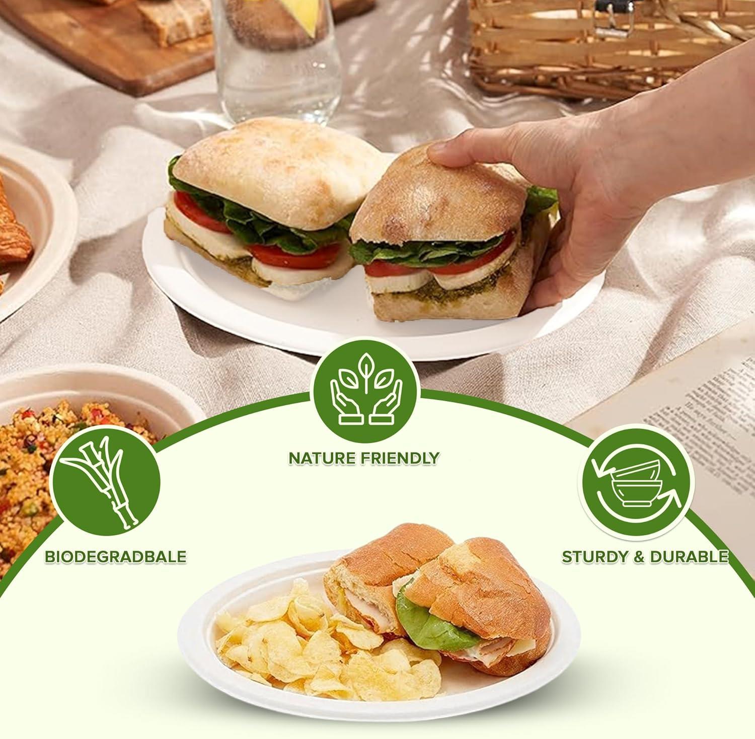 Strong Disposable Oval Plates Super Rigid Biodegradable Party Dinner Plate 10x8" - Picture 7 of 29