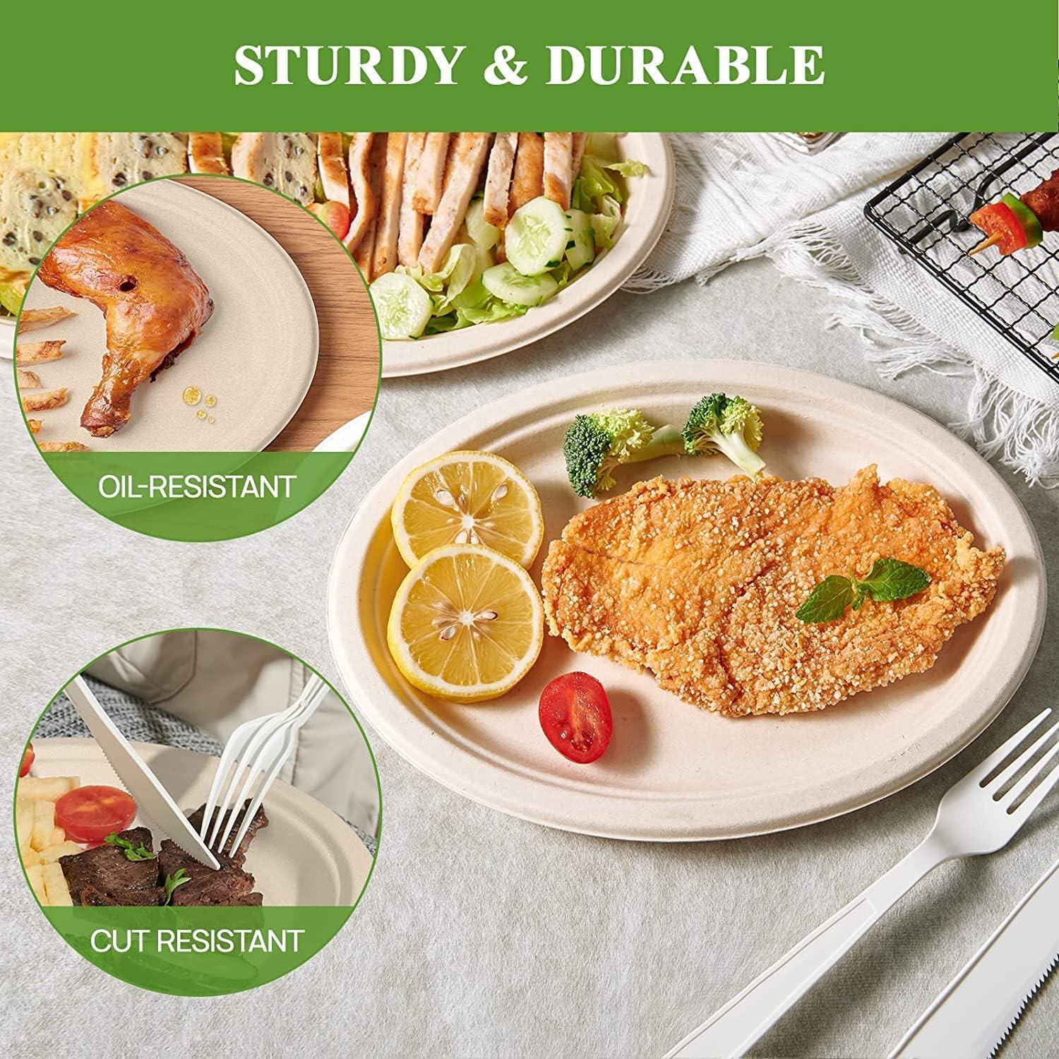 Strong Disposable Oval Plates Super Rigid Biodegradable Party Dinner Plate 10x8" - Picture 16 of 29