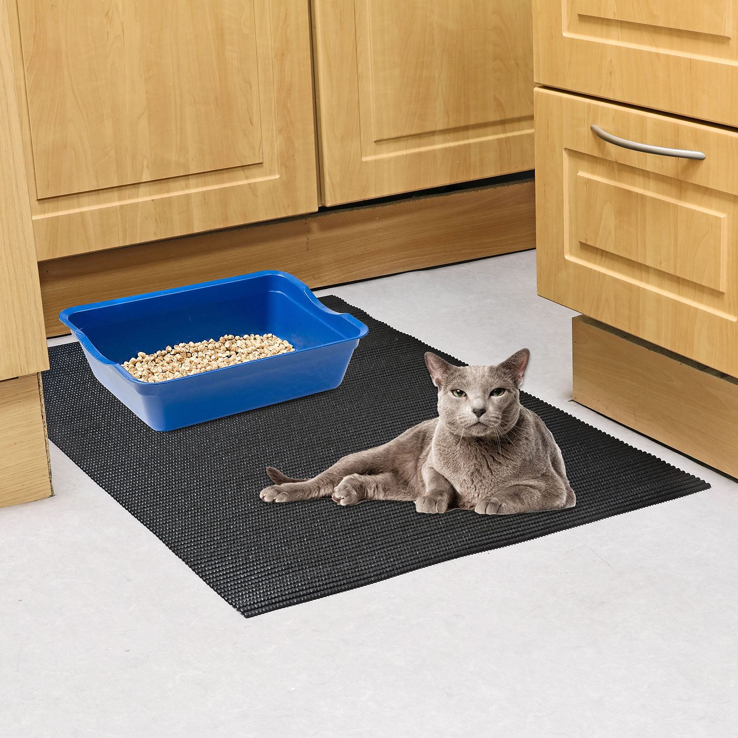 Cat Litter Stuck To Floor Jacqueline Sanborn blog