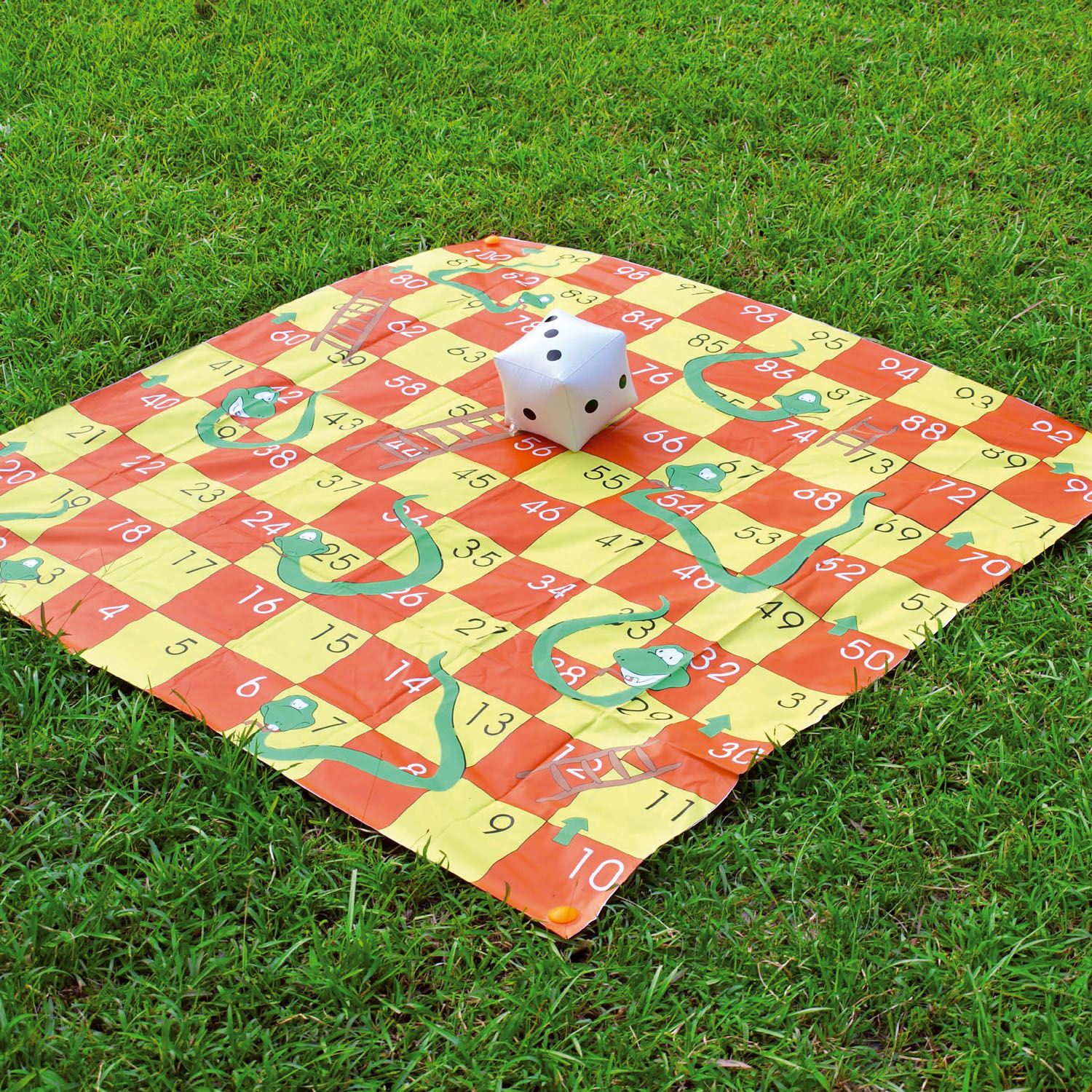 2 in 1 Giant Garden Snakes & Ladders Tangled Twister Outdoor Game