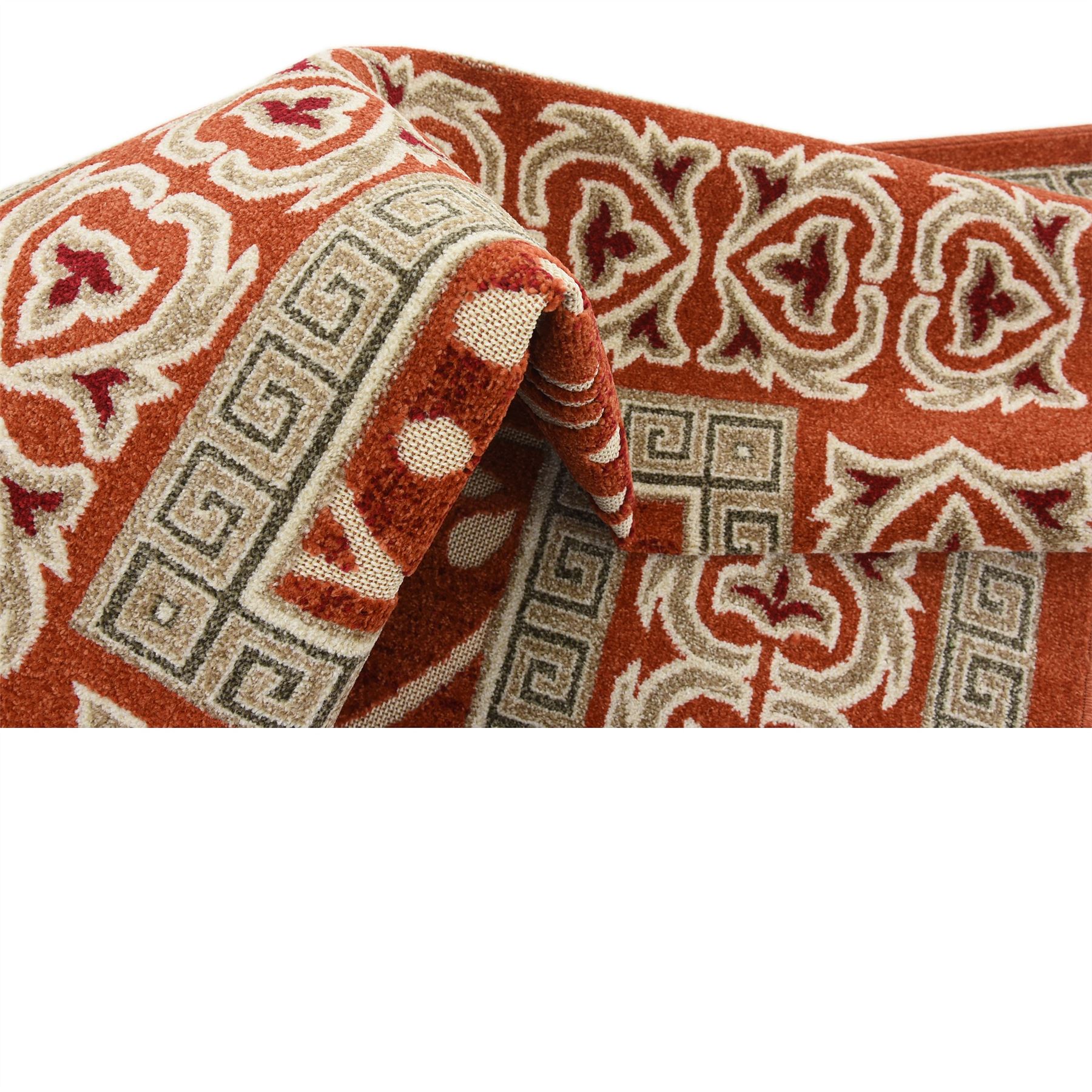 Botanical Floral Area Rug Modern Traditional Design Contemporary Carpet