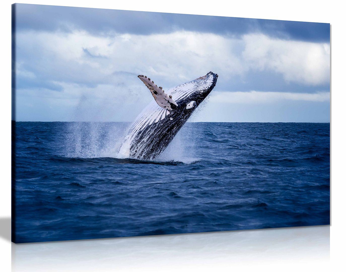 Humpback Wieloryb Ocean SeaLife Morze Natura Płótno Ściana Sztuka Obraz Druk Wystrój domu - Zdjęcie 2 z 6