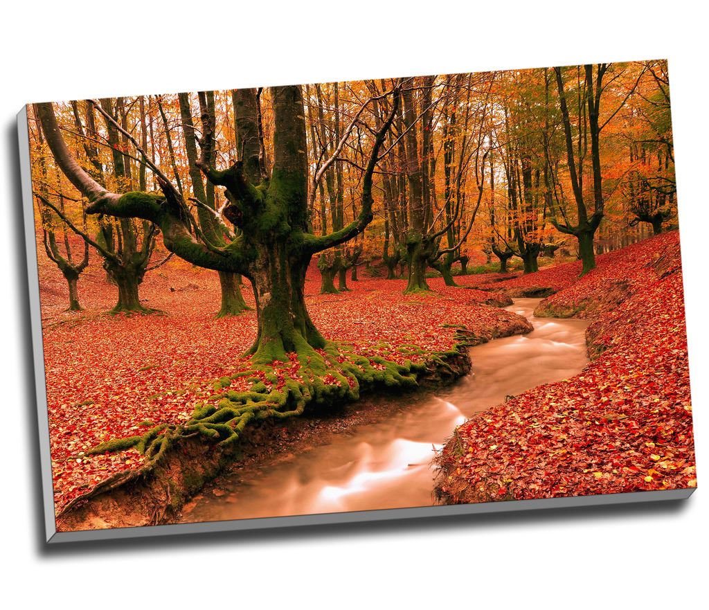 Red forest Trees Landscape Canvas Print Wall Art 30x20" A1 eBay