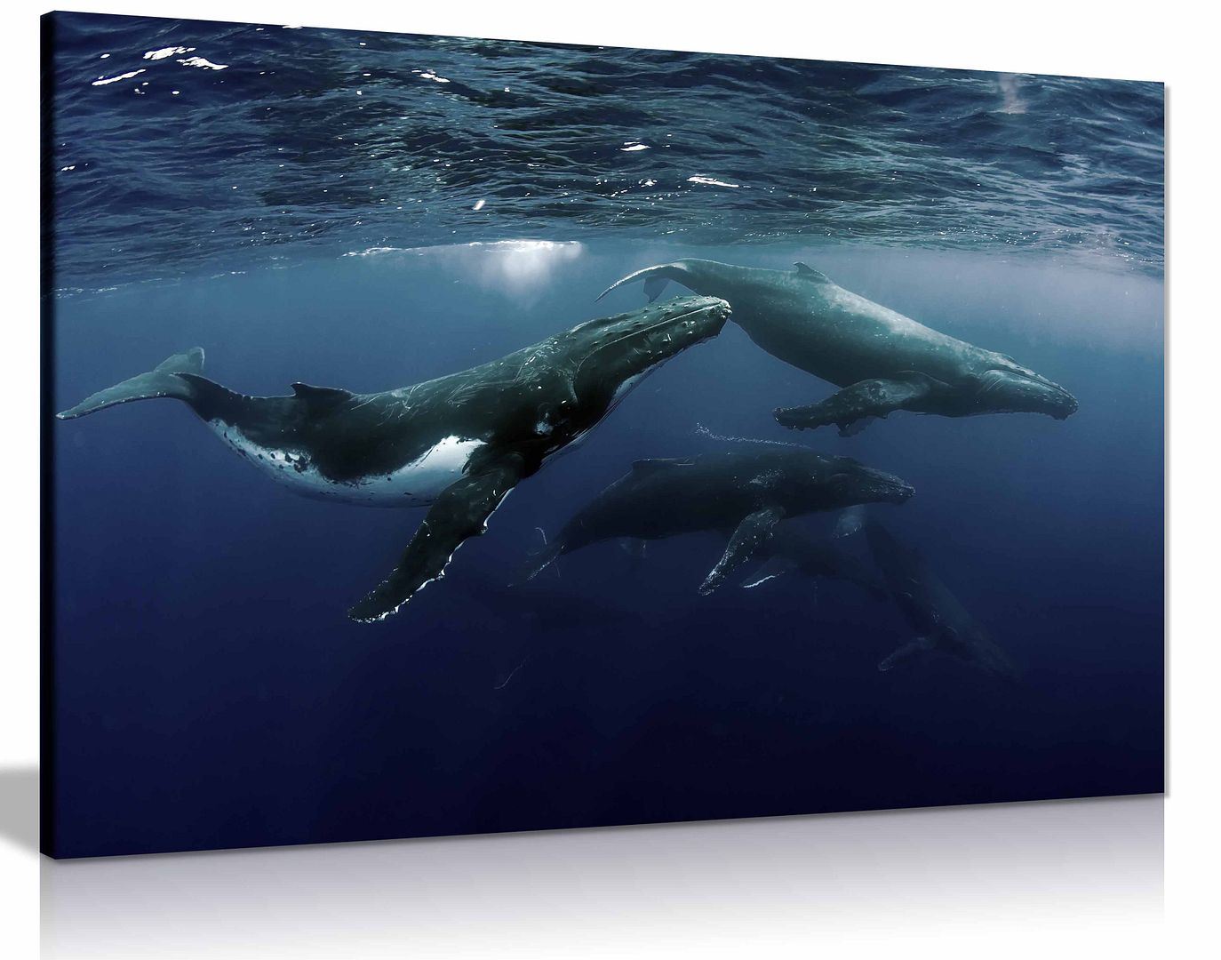 Humpback Wieloryb Ocean SeaLife Morze Natura Płótno Ściana Sztuka Obraz Druk Wystrój domu - Zdjęcie 3 z 6