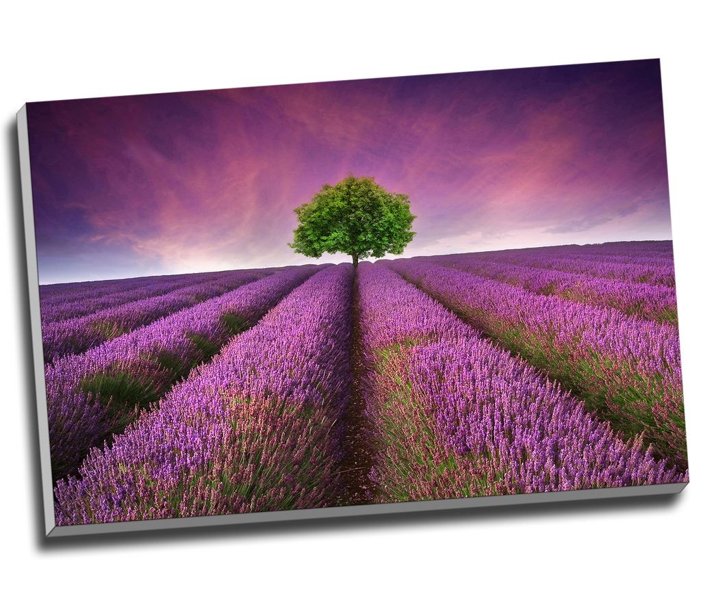 Purple Lavender Field Landscape Sunset Canvas Print Wall Art 30x20" A1