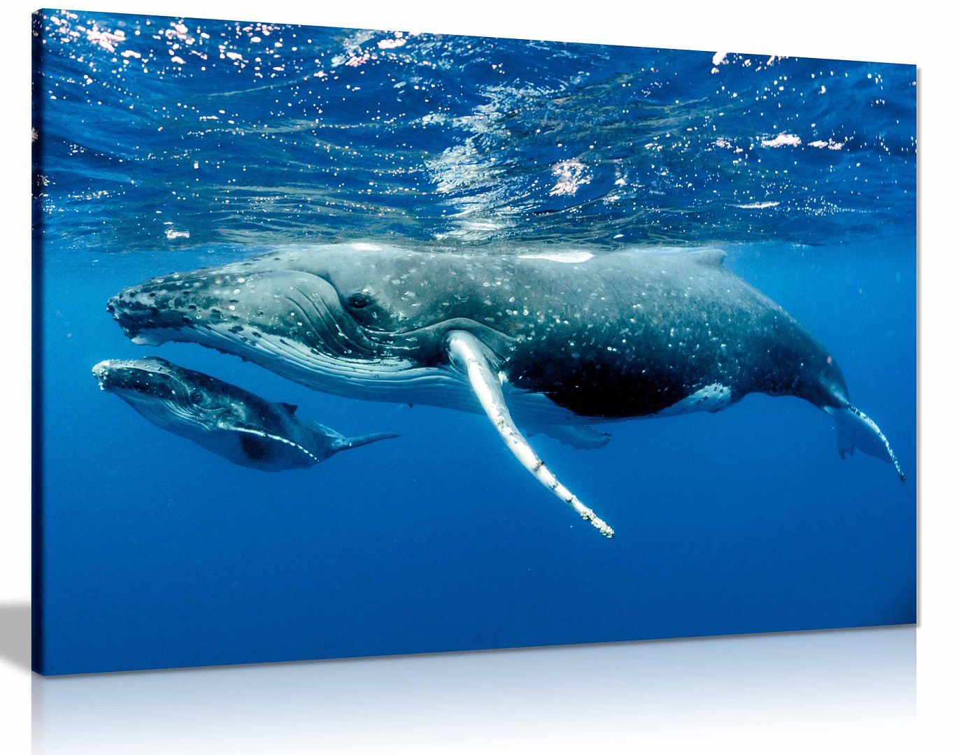 Humpback Wieloryb Ocean SeaLife Morze Natura Płótno Ściana Sztuka Obraz Druk Wystrój domu - Zdjęcie 6 z 6
