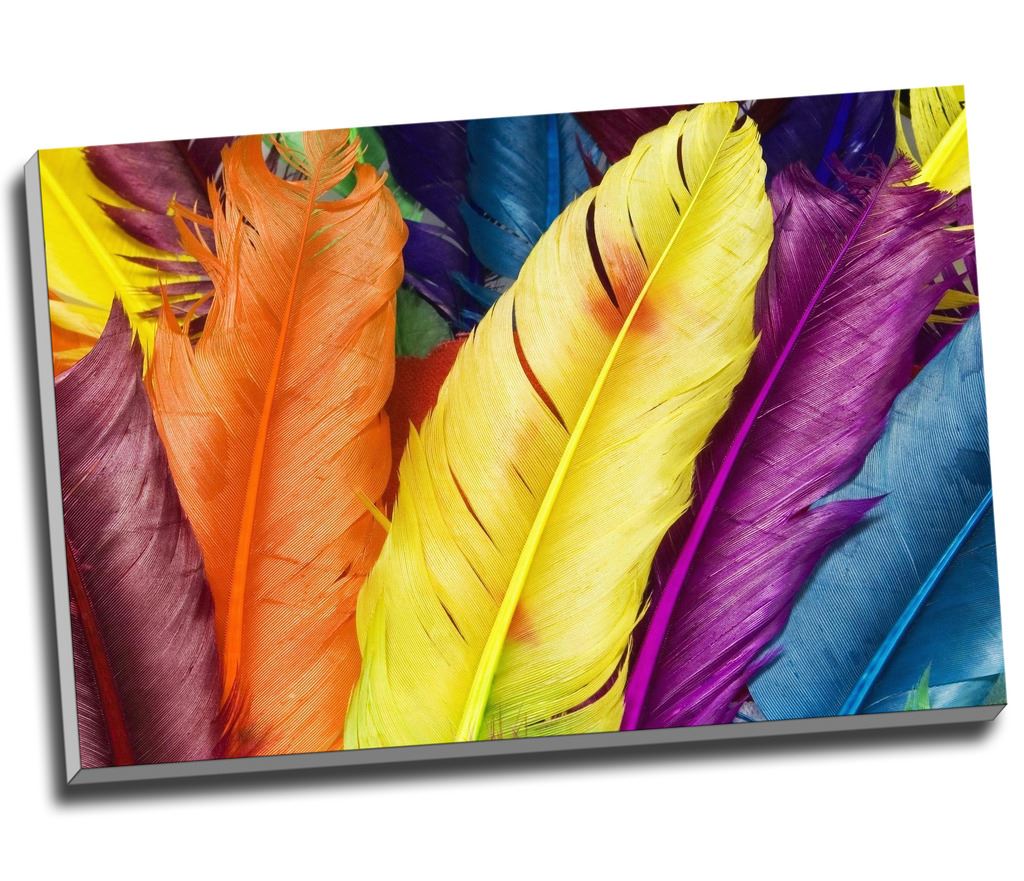 Abstract Colorful Feathers Canvas Print Wall Art 30x20" A1 eBay