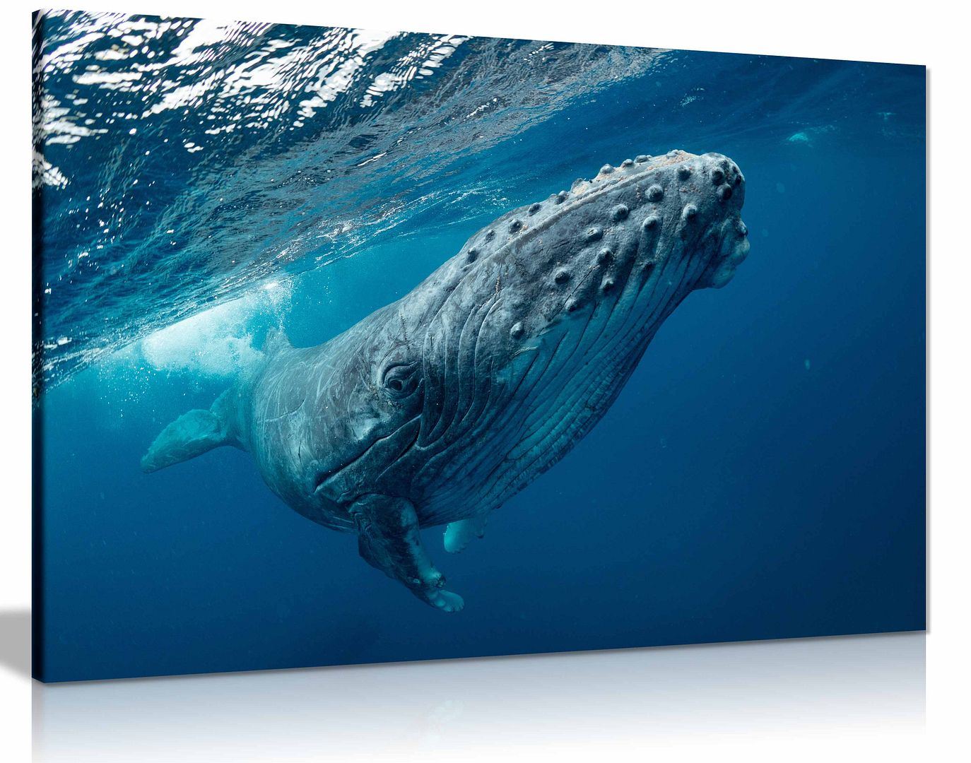 Humpback Wieloryb Ocean SeaLife Morze Natura Płótno Ściana Sztuka Obraz Druk Wystrój domu - Zdjęcie 5 z 6