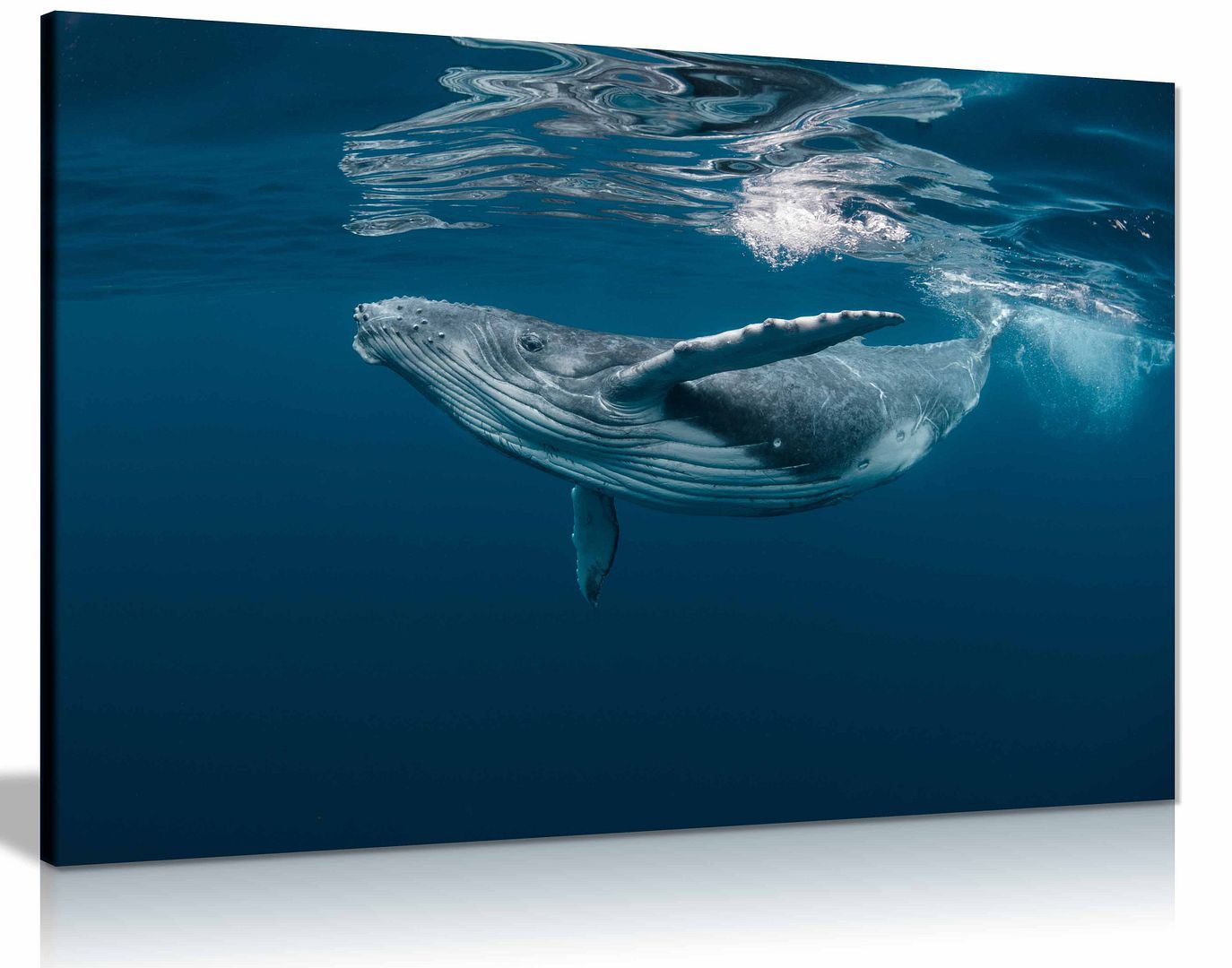 Humpback Wieloryb Ocean SeaLife Morze Natura Płótno Ściana Sztuka Obraz Druk Wystrój domu - Zdjęcie 4 z 6