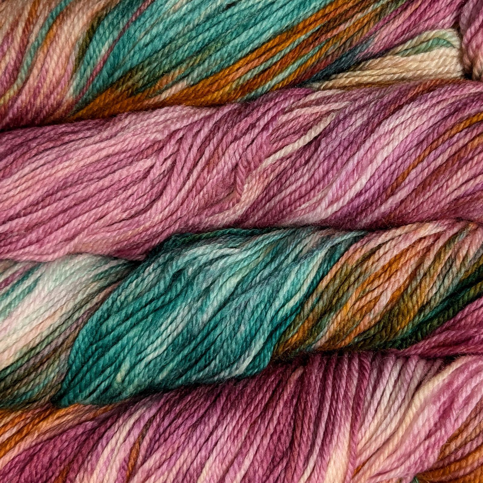 Manos Del Uruguay Alegria 4fädig Superwash Merino Hand Dye Strickgarn Wolle 100g - Bild 5 von 19