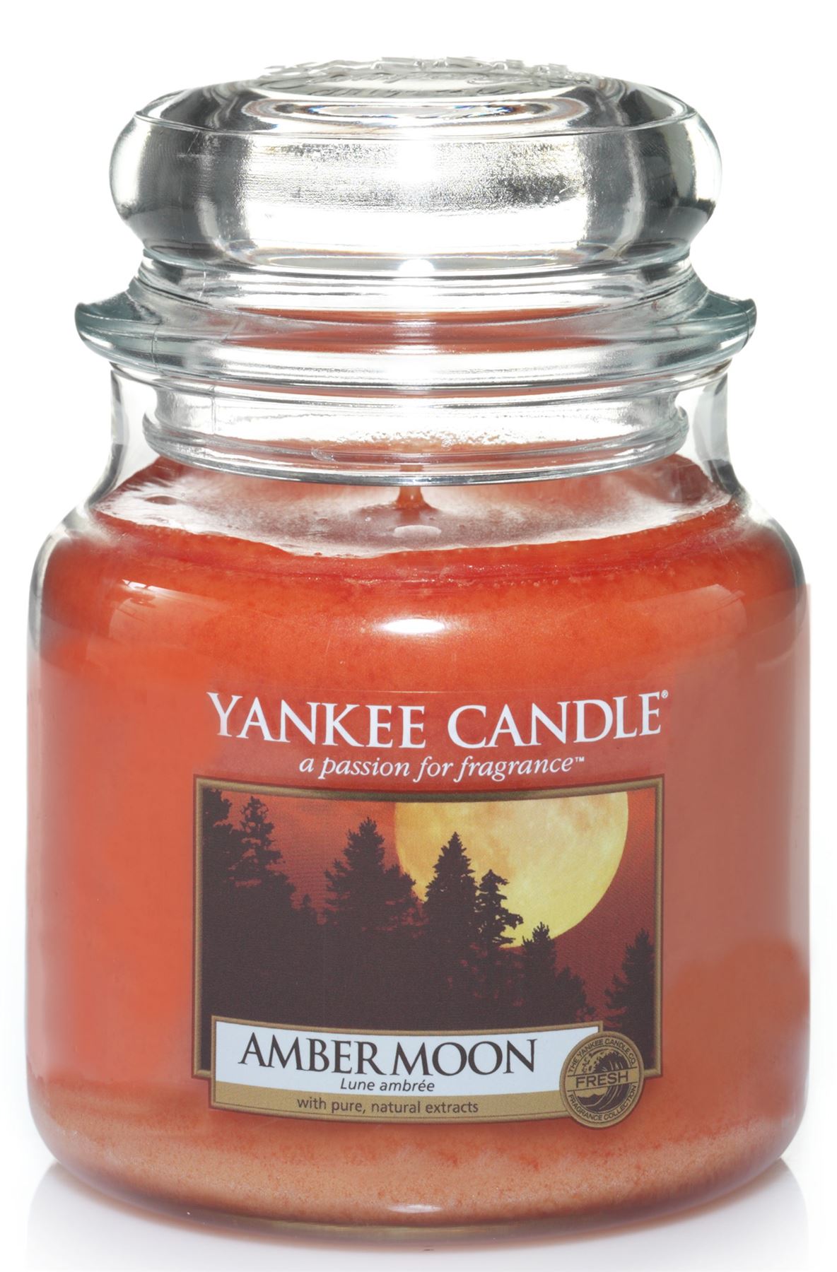 Yankee Candle Medium Jars Including Clearance Discounted Various