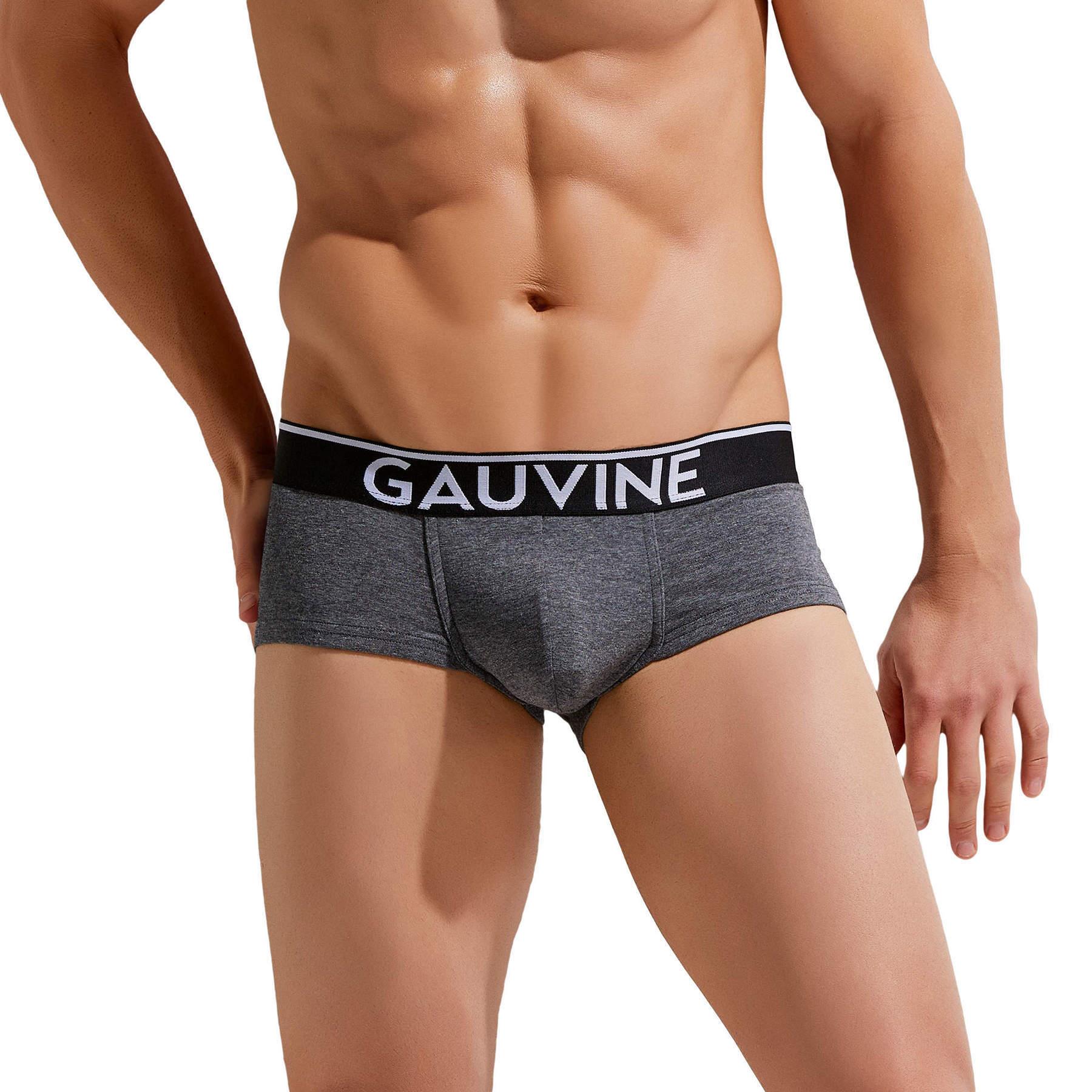 Gauvine Cotton Essentials Trunk 3005 mens underwear hipster short male