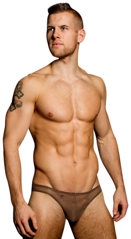 male sheer Bikini male sheer Bikini