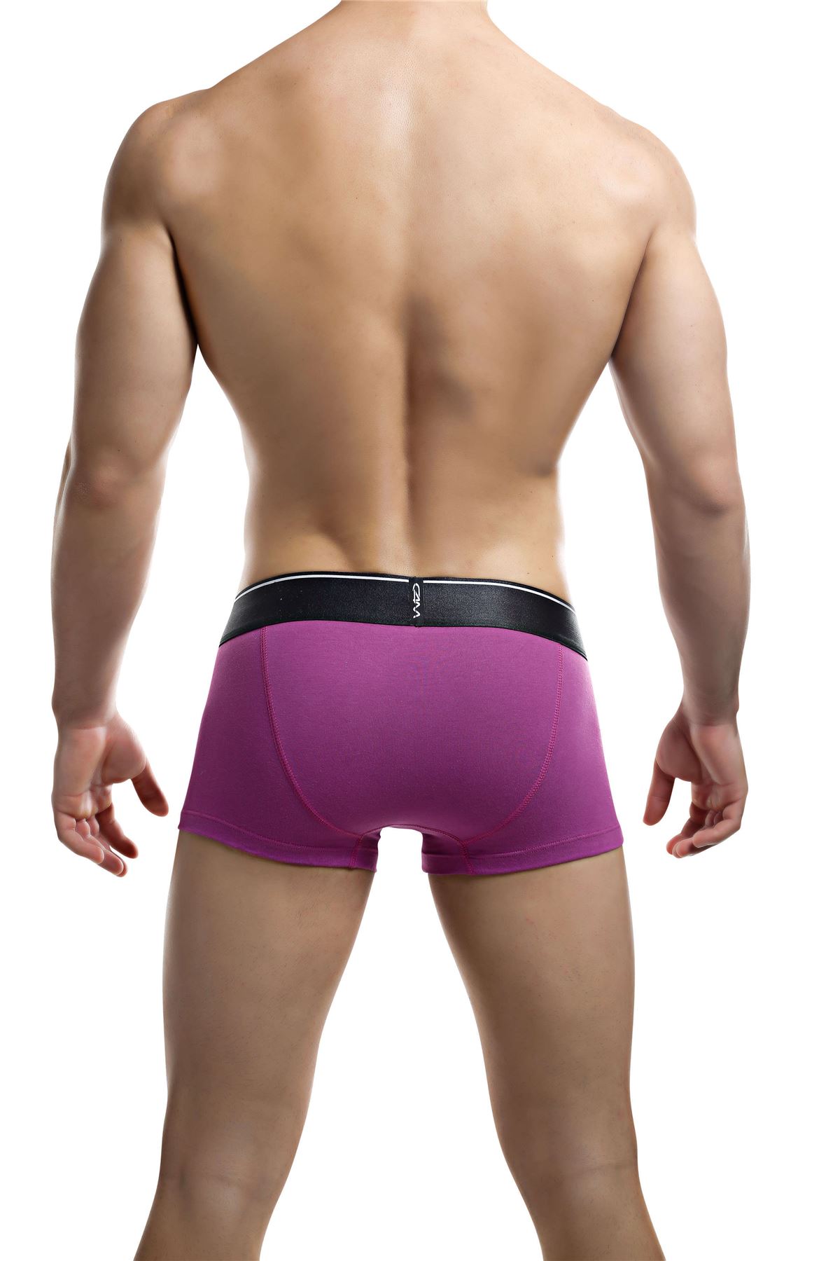 Cut for Men Trunk mens underwear boxer brief cotton male shorts C4M underpants