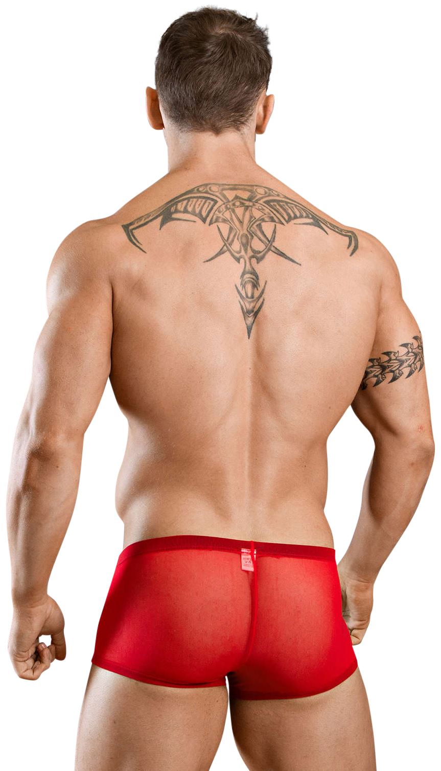 Body Art Men's Eros Micro Pant Sheer Mesh See Through Boxer Trunk