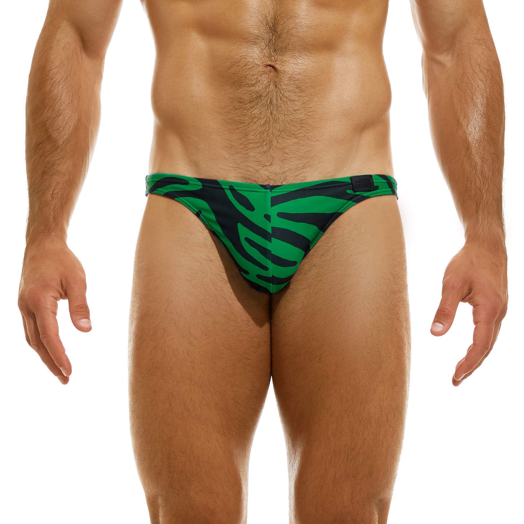 Modus Vivendi Tiger Swim Low Cut Brief mens swimwear bikini male beach