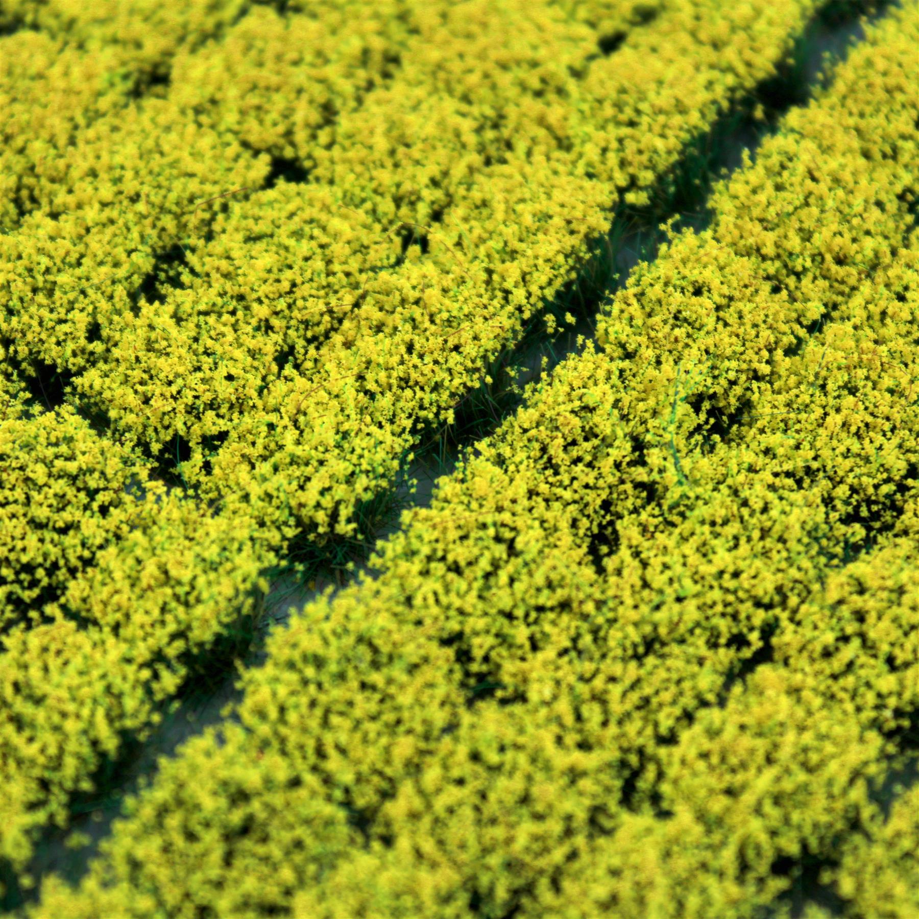 WWS Yellow Foliage | Self-Adhesive Static Grass Tufts x 100 | for Model Scenery - Picture 34 of 38