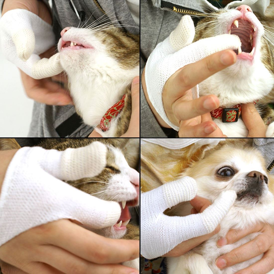 Finger Toothbrush for Cats - Feline Dental Gloves