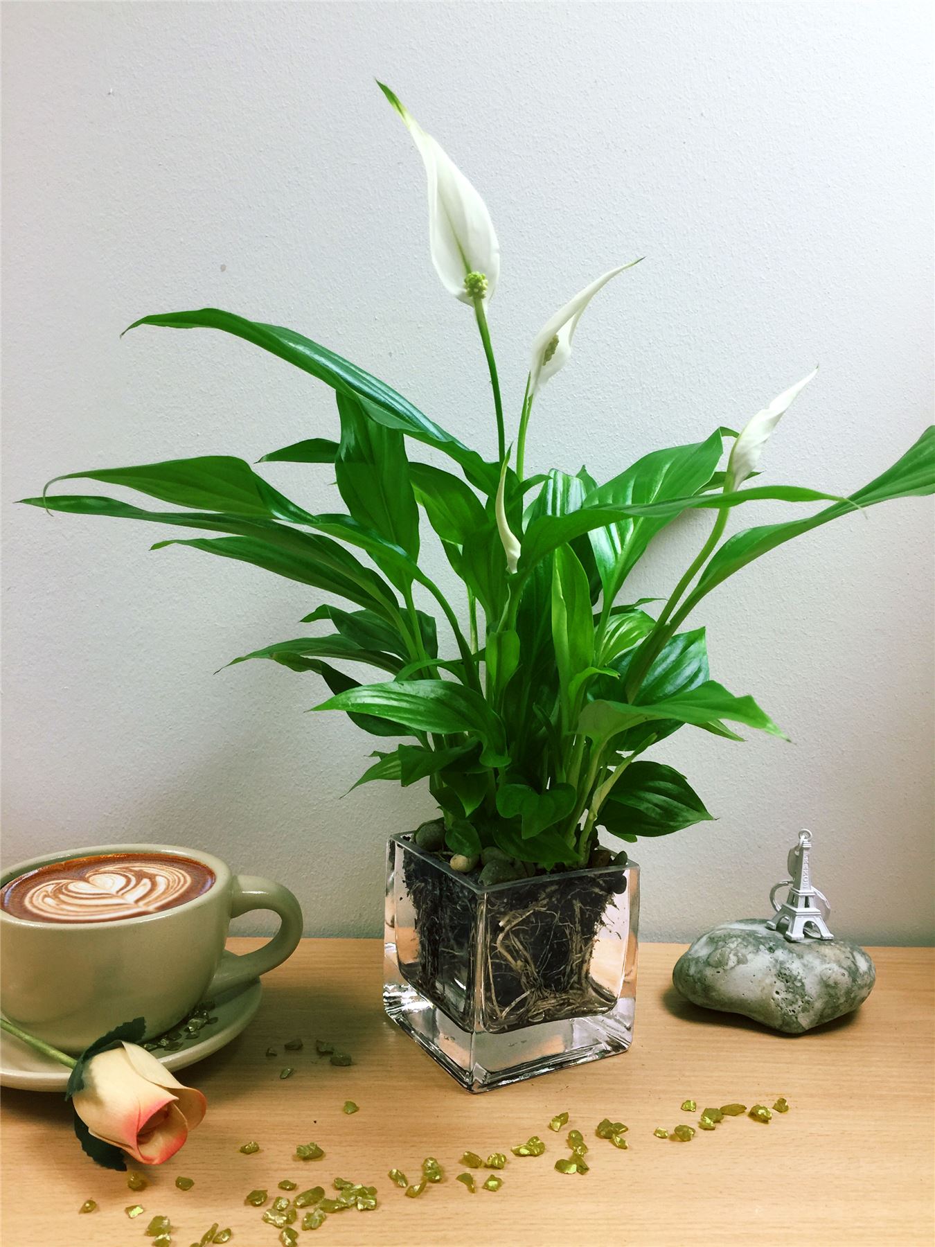 Lovely Table Plant Square Glass Cube Vase Patio House Garden Office