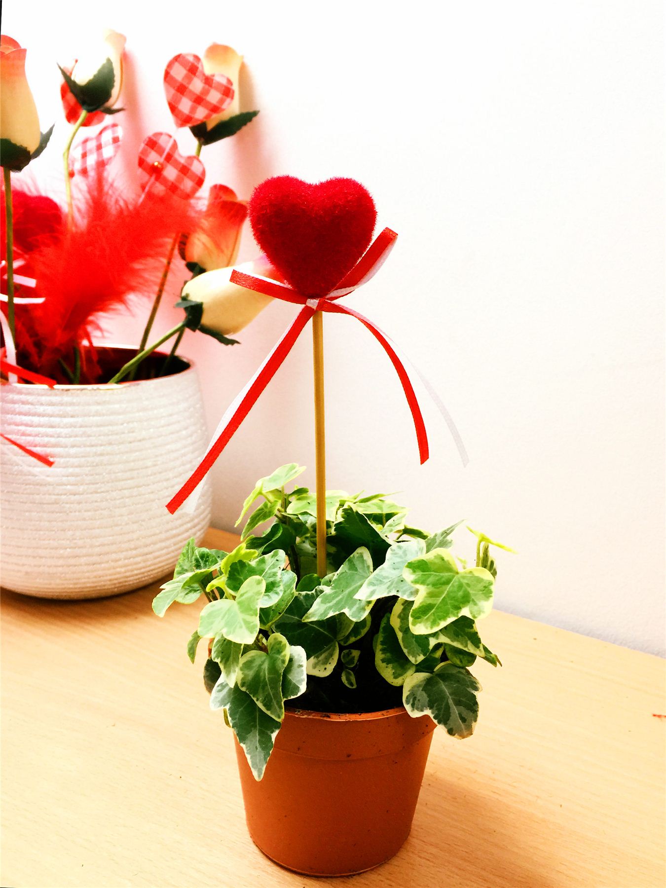 English Ivy Hedera Evergreen Hardy Wall Climbing Hanging Baskets Gardening Plant - Picture 6 of 13