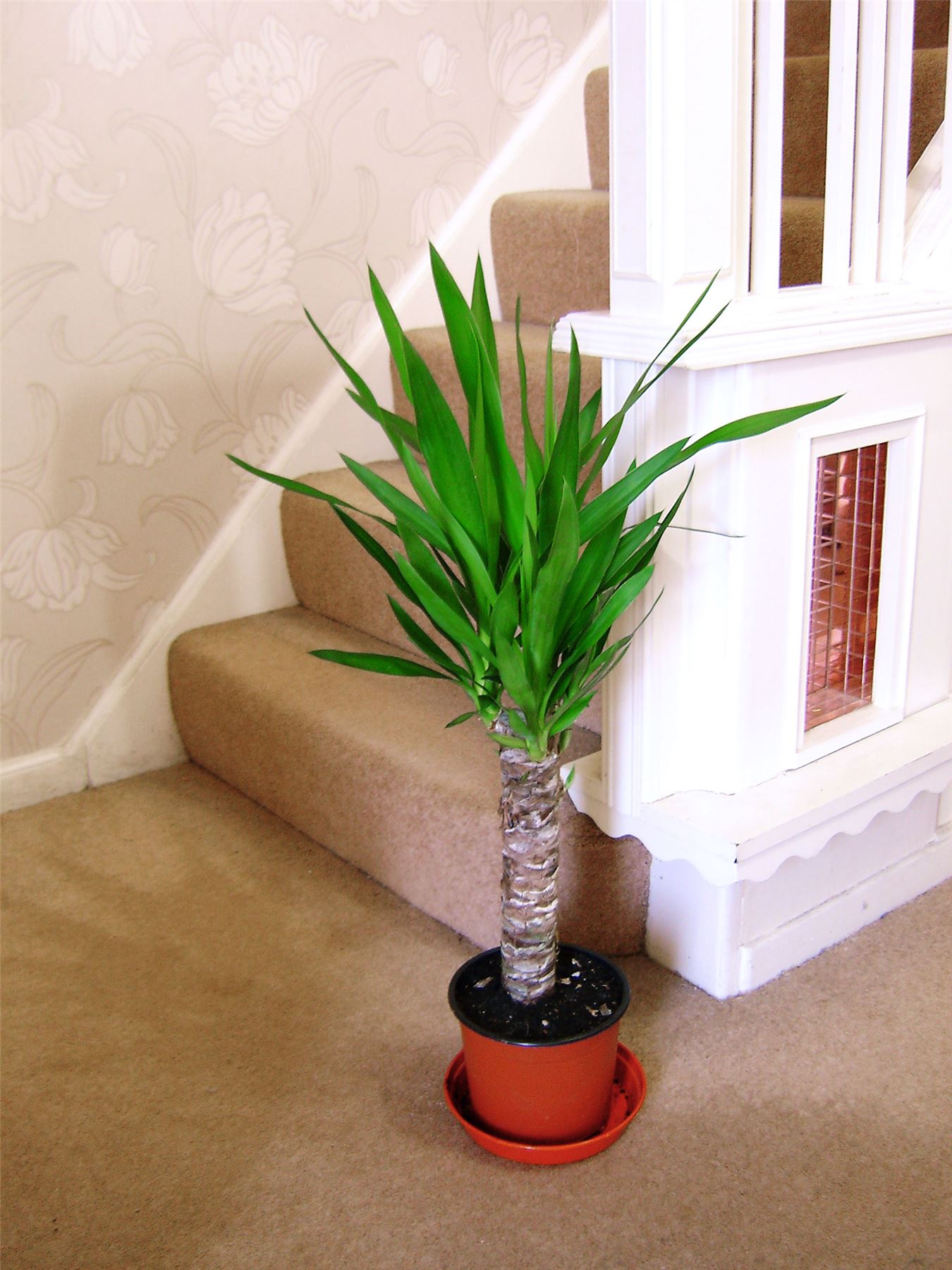 Picture 9 of 60