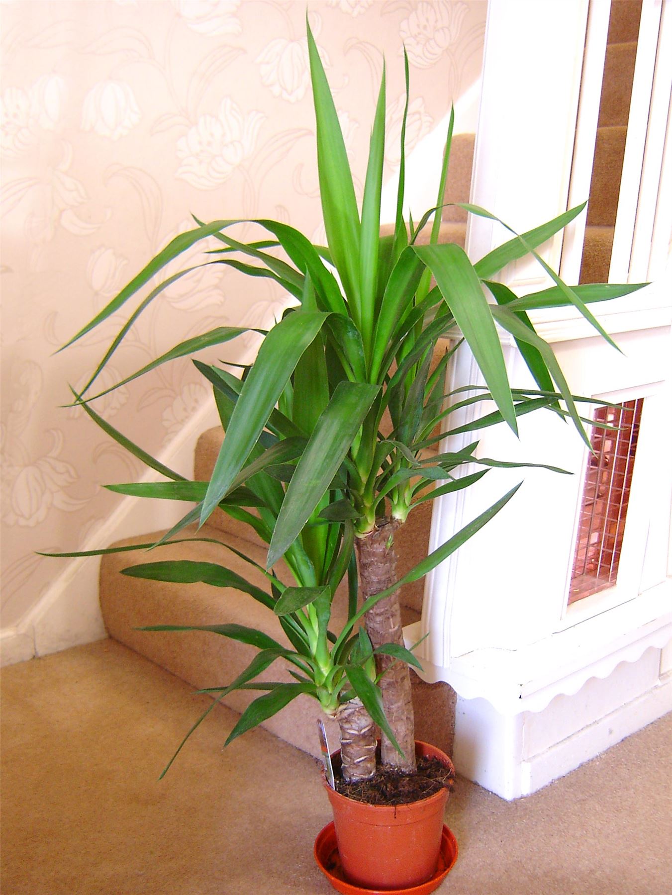 Picture 10 of 60