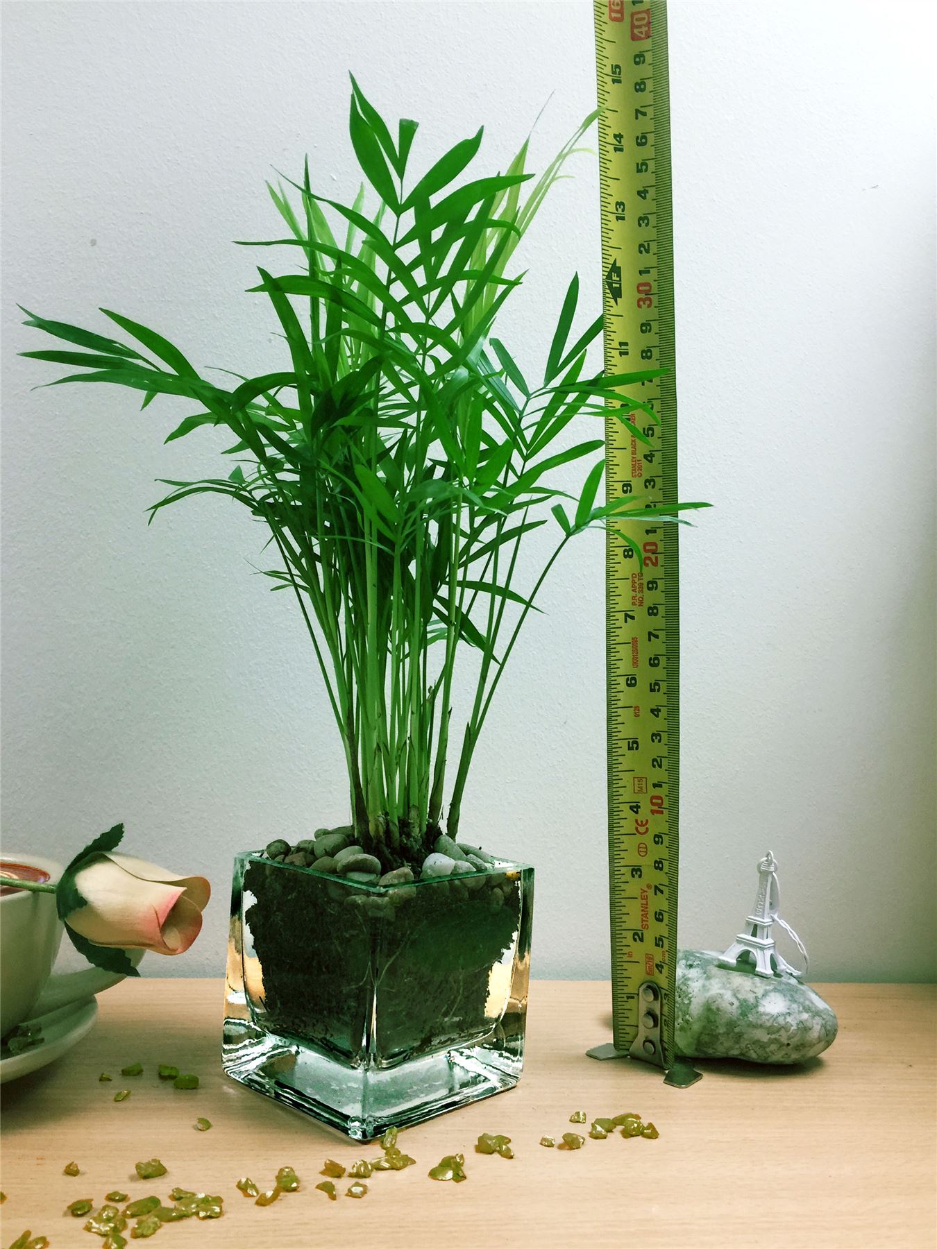 Lovely Table Plant Square Glass Cube Vase Patio House Garden Office